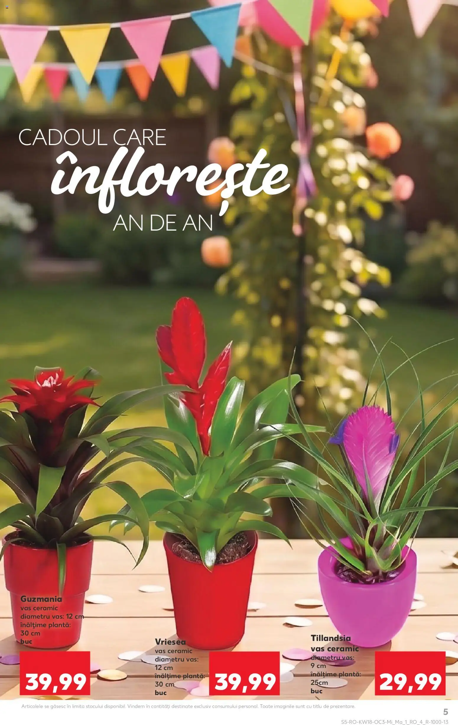 Noul catalog Kaufland – valabil de la 29.04.2026 | Pagină: 5