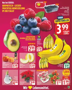 Dominik. Rep. Riesen-Avocado „Semil 43“, KL. 1, n. G. = 2,99 Stück ab 03.11.2025 gültig | Seite: 3