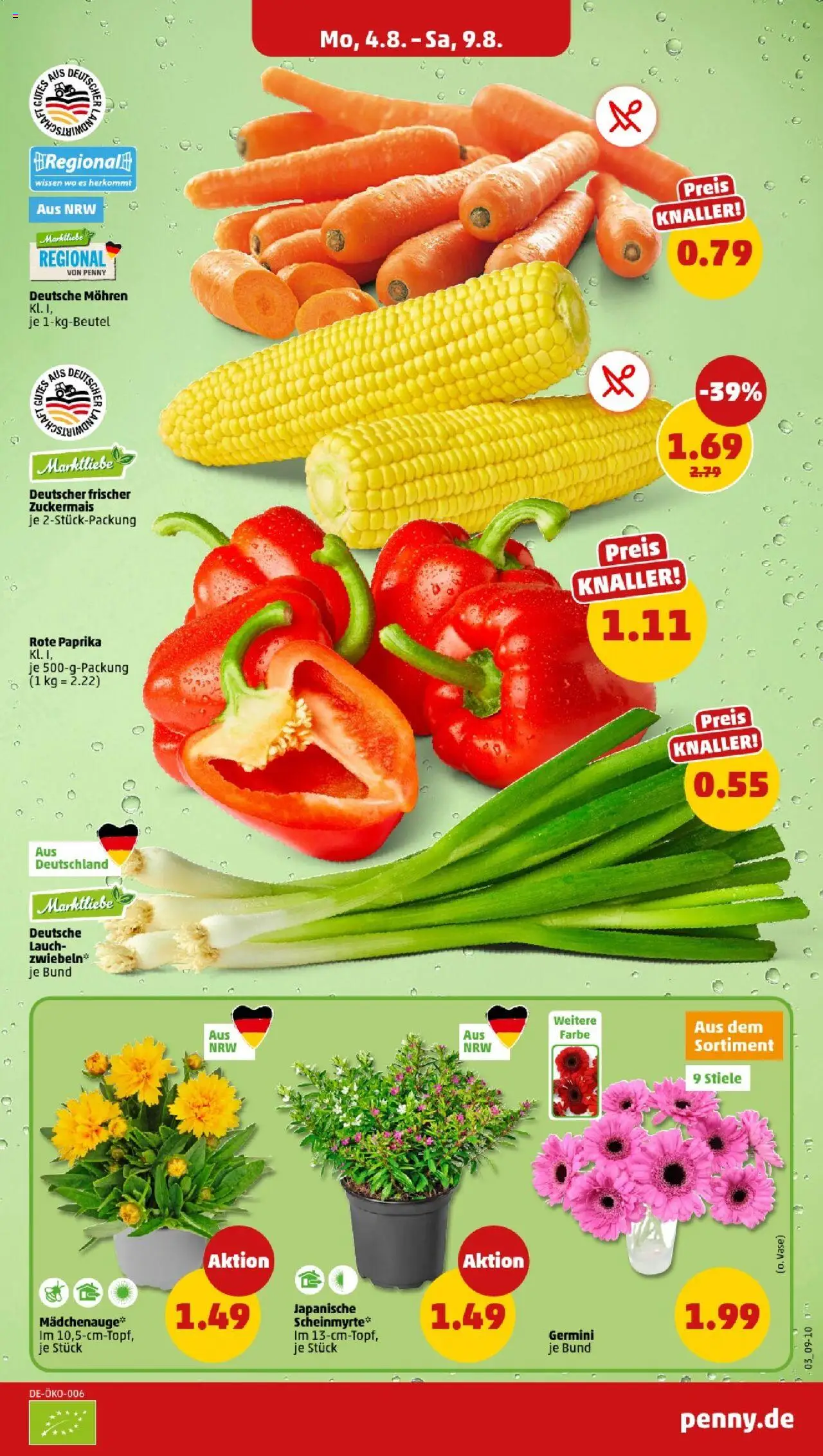 Penny - Nordrhein-Westfalen - gültig ab dem 04.08.2025 | Seite: 3 | Produkte: Vase, Mohren, Paprika