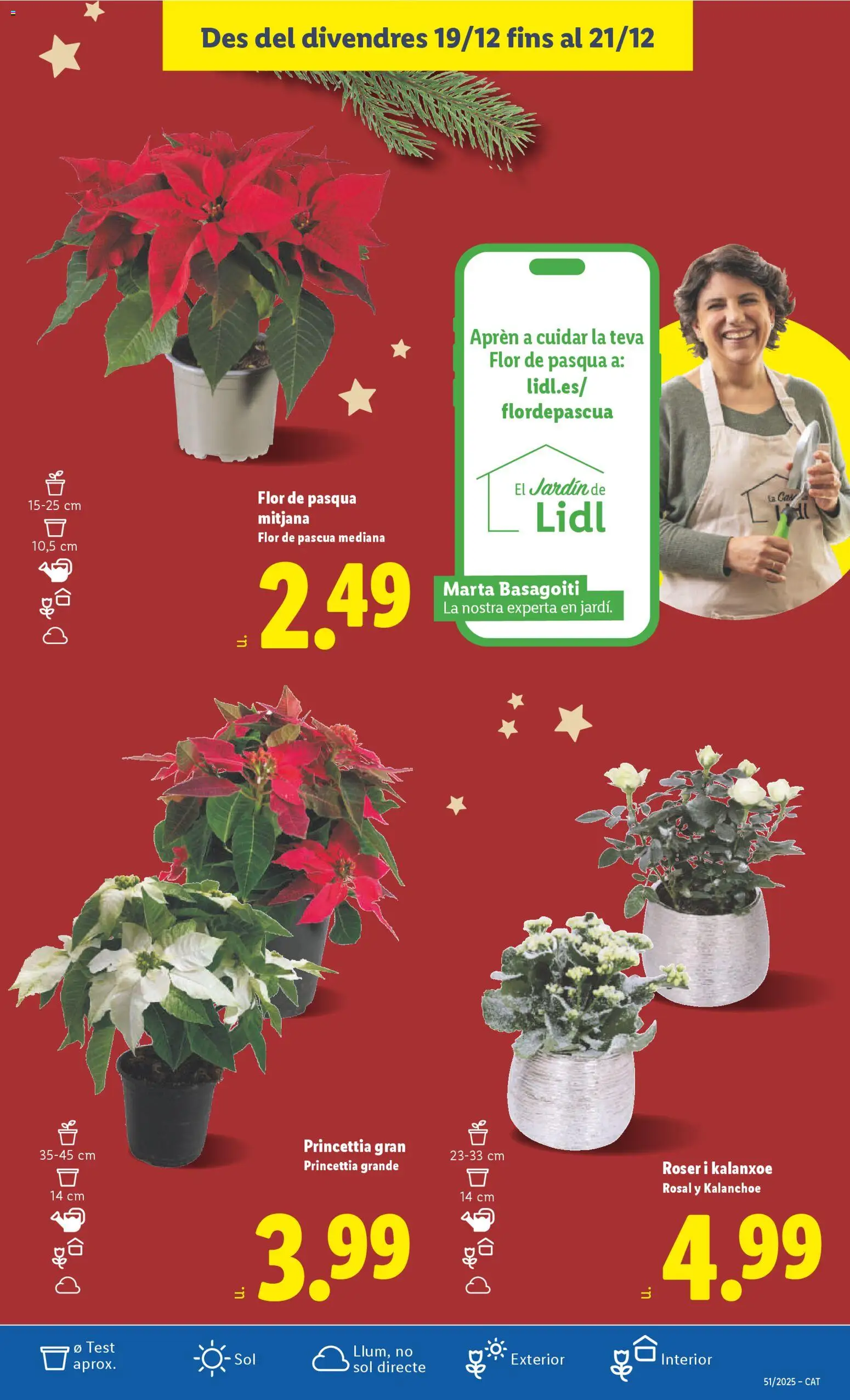 Lidl folleto │ válido desde el 15.12.2025 | Página: 47