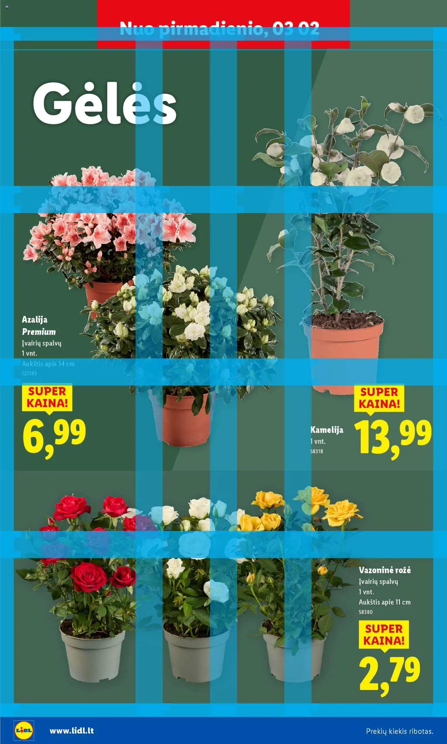 LIDL akcijos nuo 16.02.2026 | Puslapis: 24