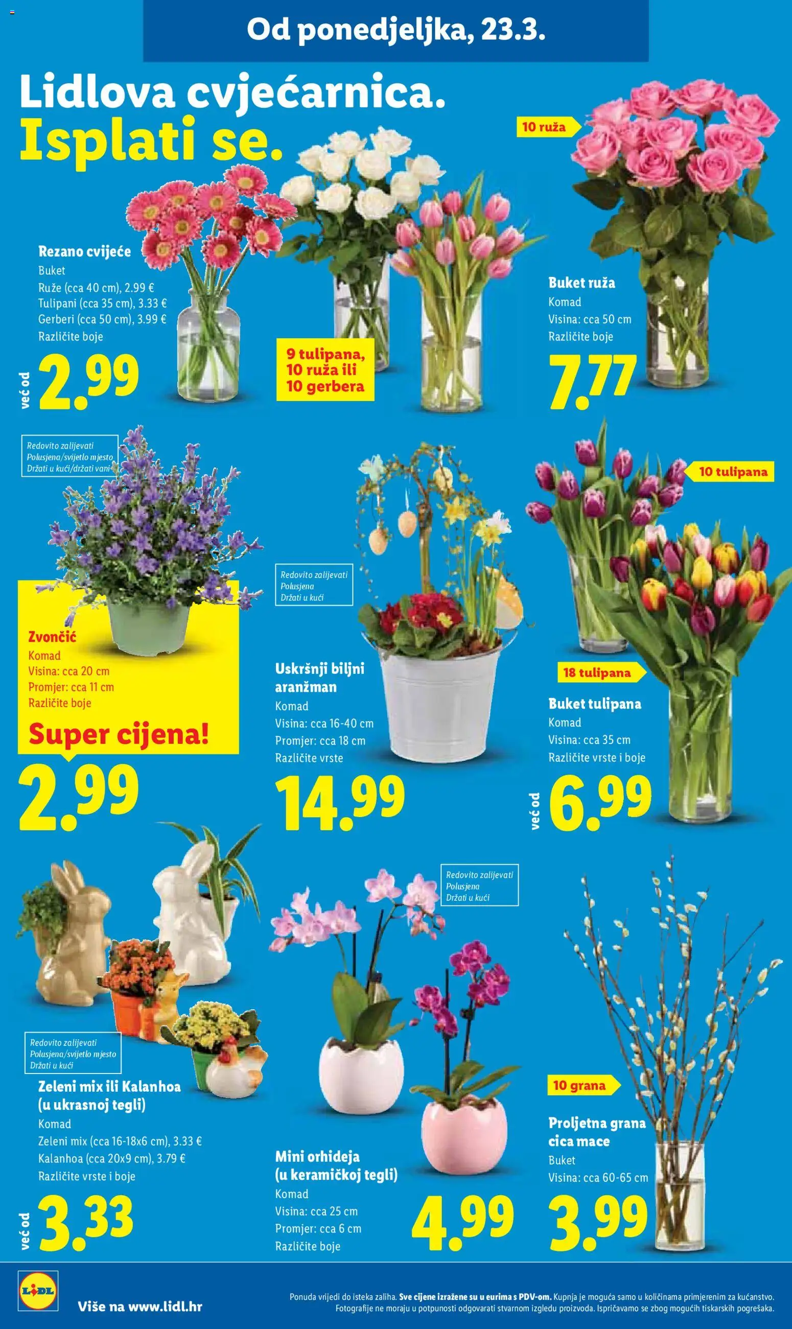 Lidl katalog | vrijedi od 23.03.2026 | Stranica: 28 | Proizvodi: Cvijeće, Orhideja
