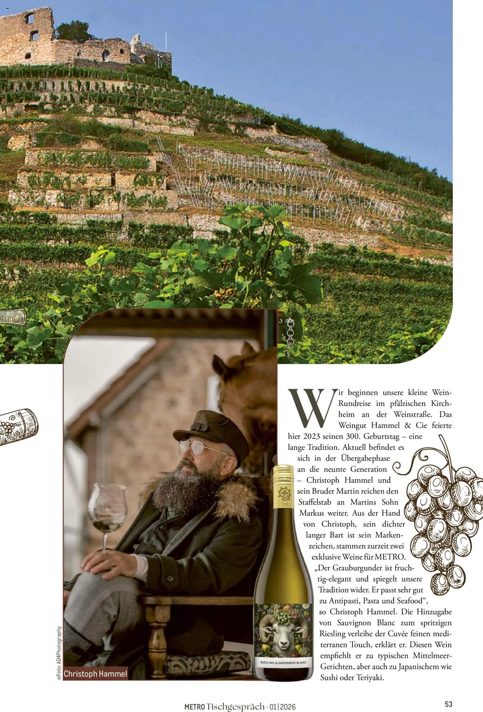 Metro Tischgespräch – gültig ab 01.02.2026 | Seite: 53 | Produkte: Pasta, Wein