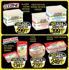 13.03.2026 tarihinden itibaren geçerli olan Sarıyer kataloğu önizlemesi | Sayfa: 14