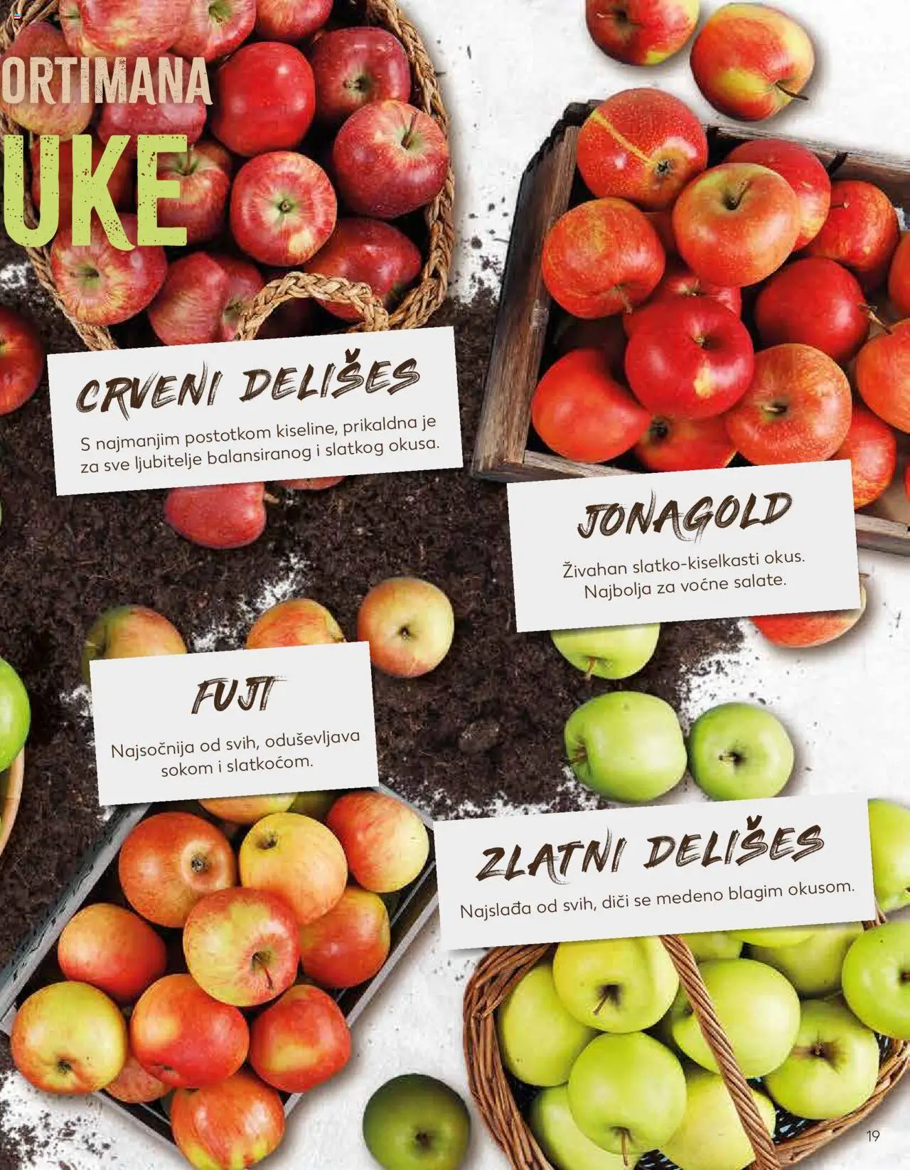 Kaufland katalog | vrijedi od 23.01.2024 | Stranica: 19
