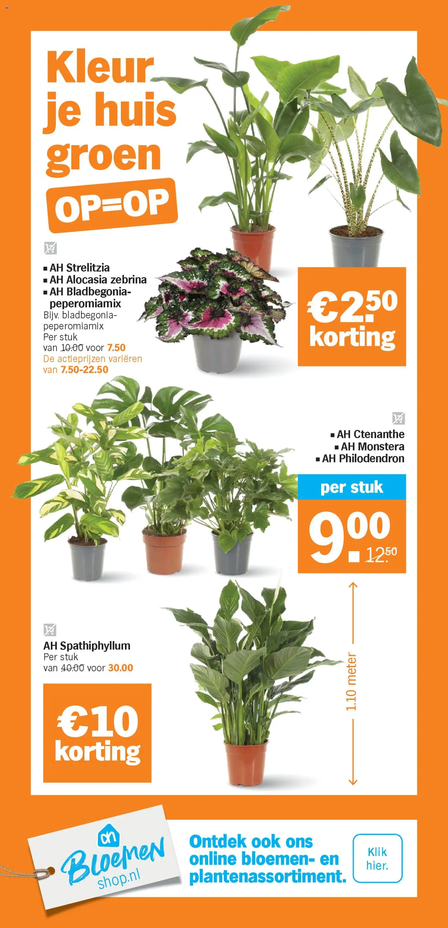 {H1} | Pagina: 37 | Producten: Bloemen