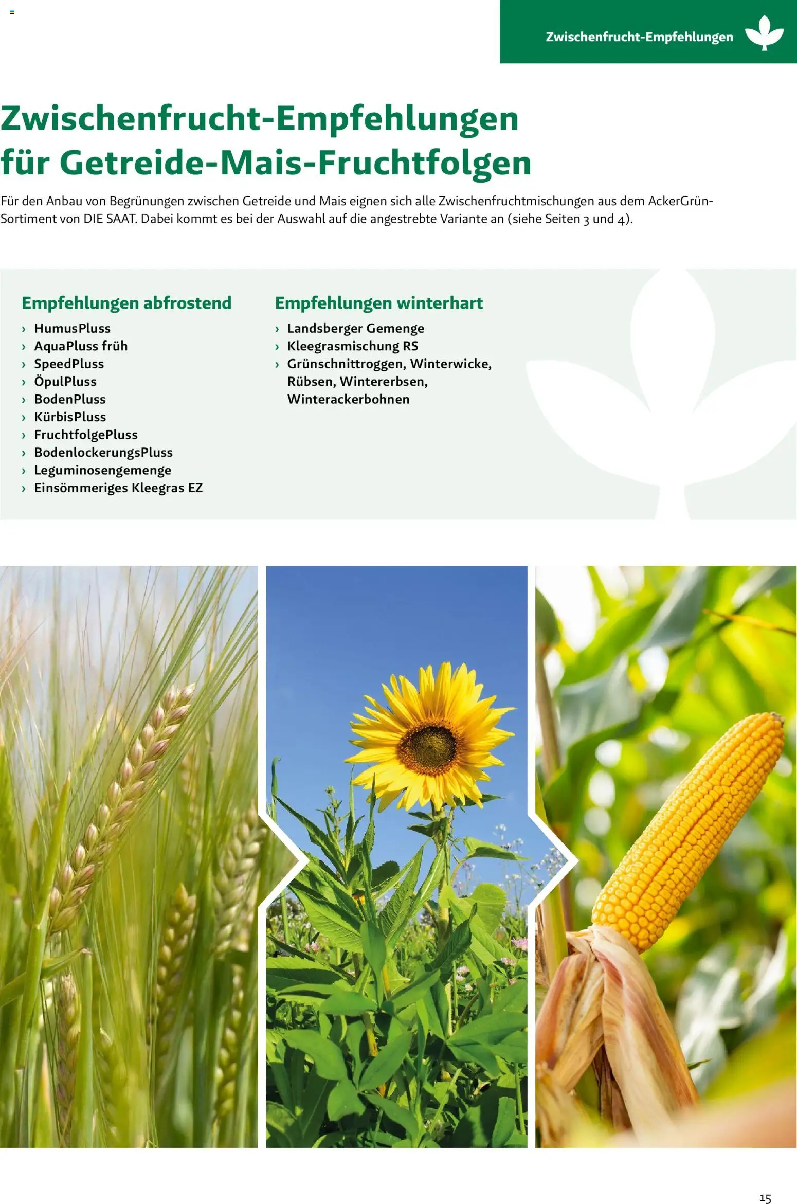 Lagerhaus Zwischenfrüchte und Begrünungen 2026 gültig ab 26.03.2026 | Seite: 15 | Produkte: Getreide