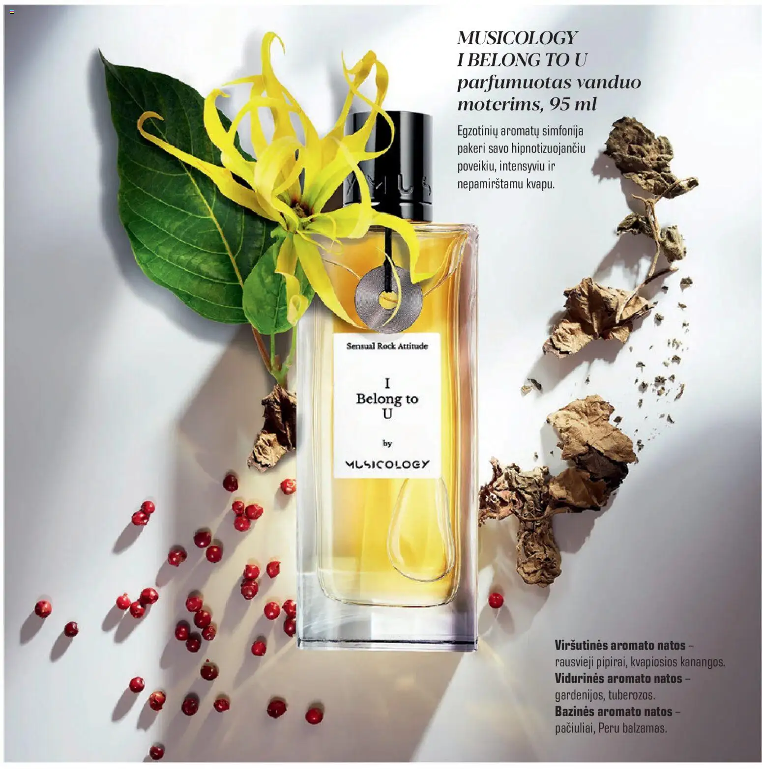 Eurokos akcijos nuo 25.11.2025 | Puslapis: 8 | Prekių: Parfumuotas vanduo