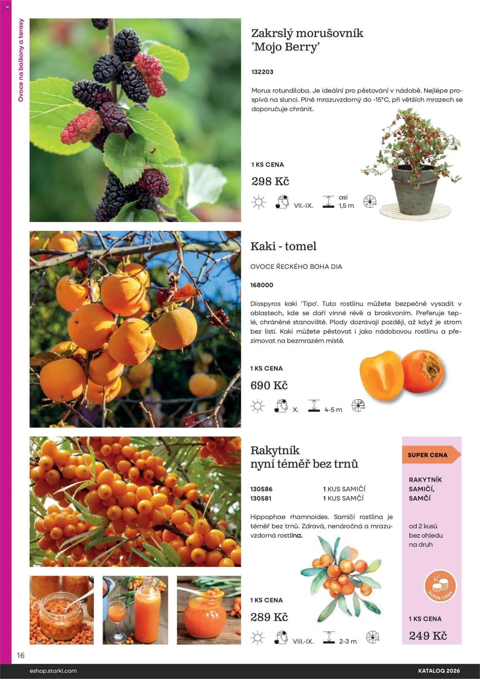 Starkl katalog od 25.02.2026 | Strana: 16 | Produkty: Ovoce, Kaki