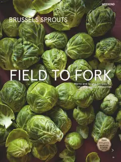 Preview of Tesco - Tesco Magazine December 2025 valid from 01.12.2025 | Page: 23 | Products: Fork