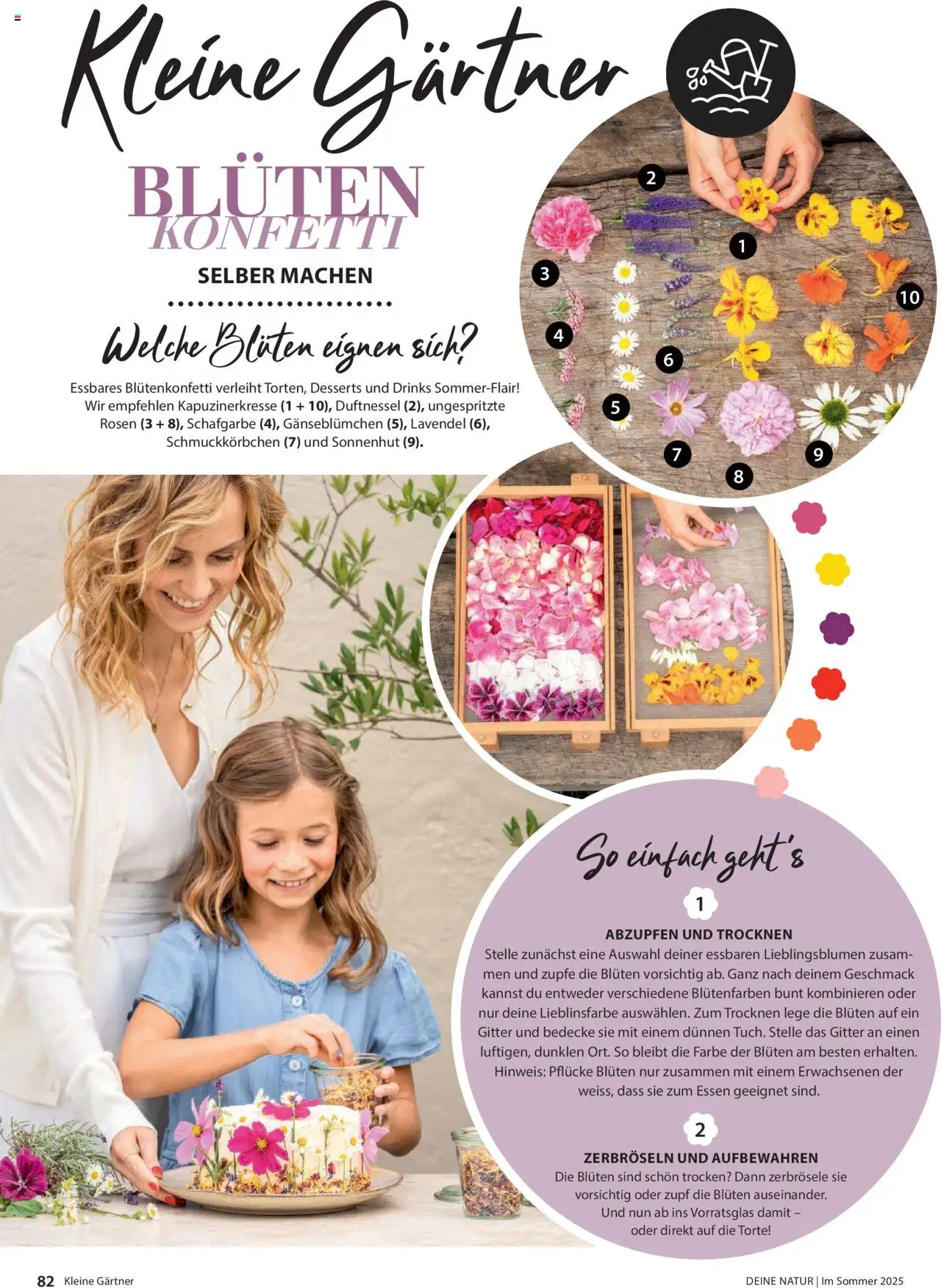 Dehner Prospekt - Deine Natur – gültig ab 23.04.2025 | Seite: 82 | Produkte: Lavendel