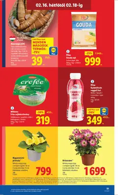 Lidl Akciós újság - amely érvényes a következő dátumtól: 12.02.2026 | Oldal: 51
