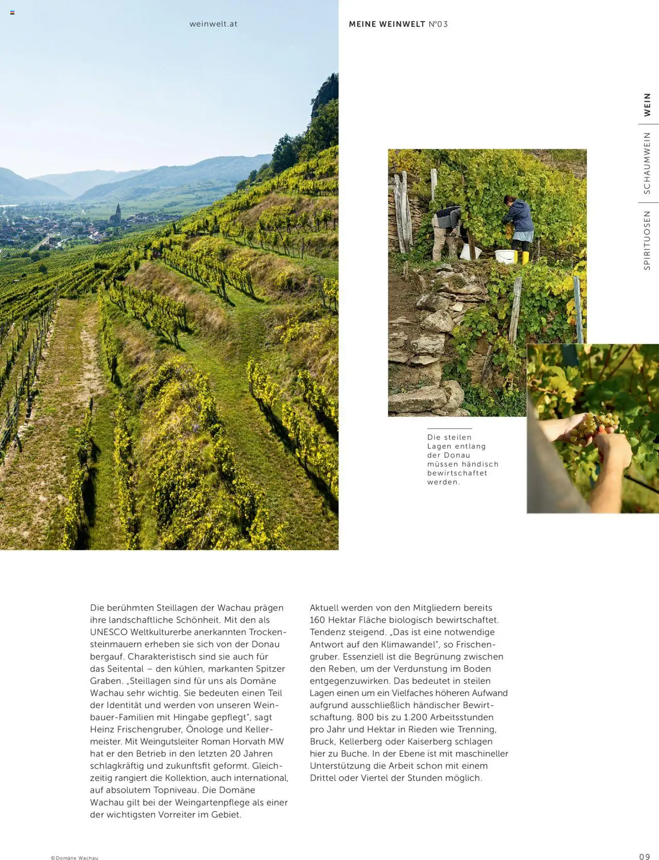 Interspar Weinwelt Magazin Ausgabe Herbst gültig ab 10.09.2025 | Seite: 9 | Produkte: Wein
