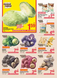 Maximarkt Flugblatt ab 13.10.2025 gültig | Seite: 9 | Produkte: Kraut