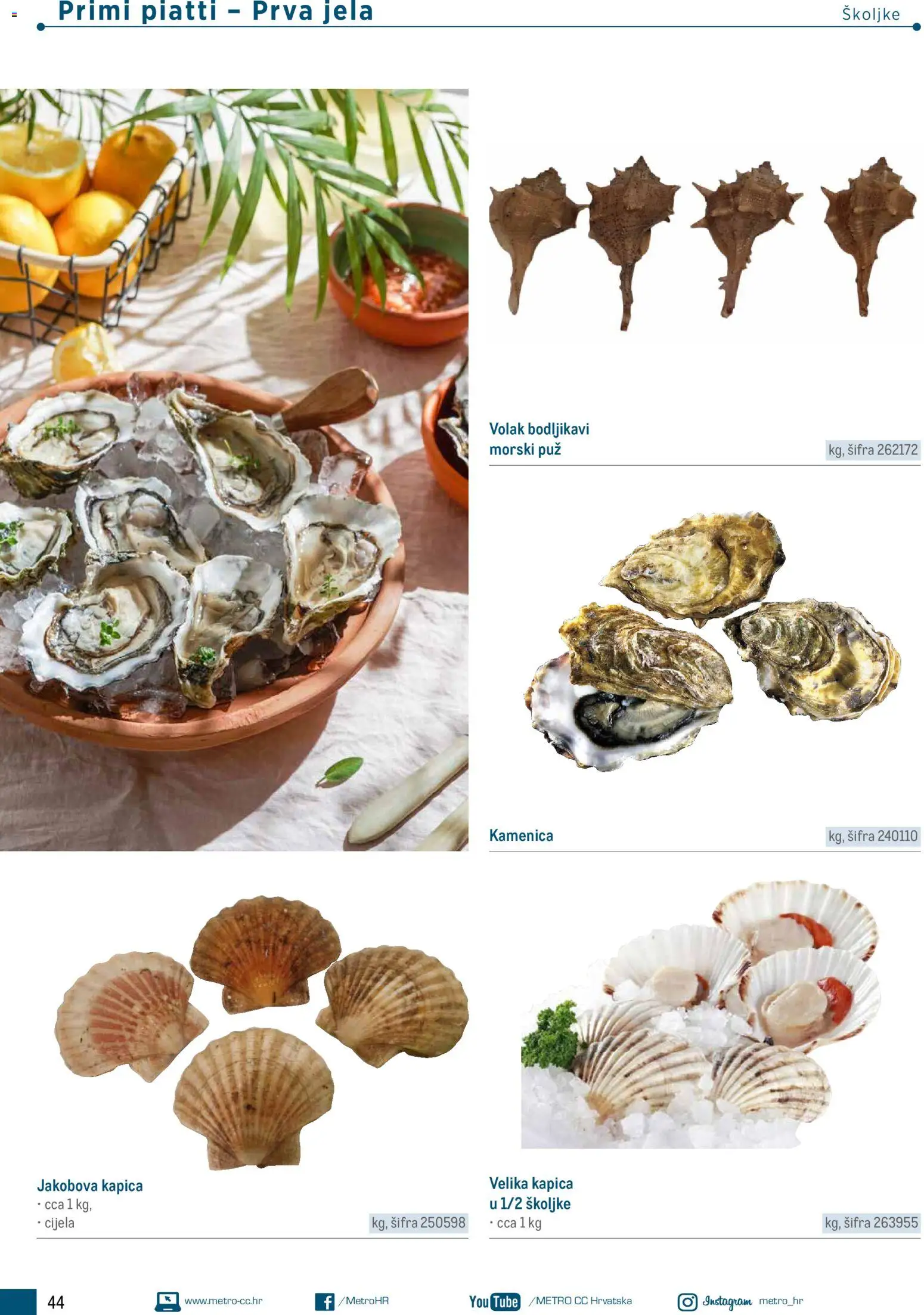 Metro katalog | vrijedi od 05.03.2026 | Stranica: 44