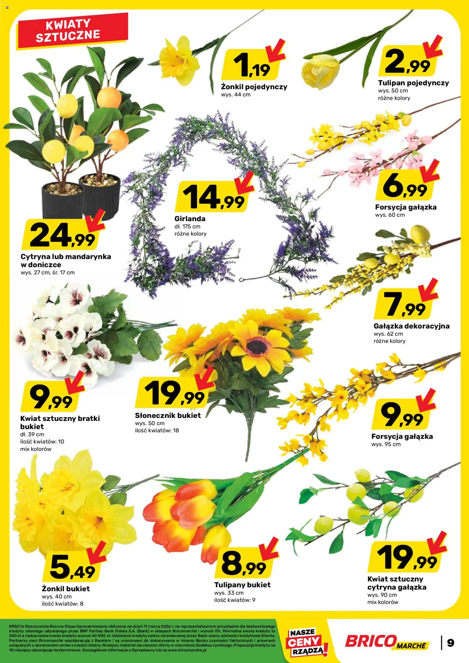 Brico Marché gazetka od 11.03.2026 | Strona: 9 | Produkty: Cytryna, Bratki, Słonecznik, Kwiaty