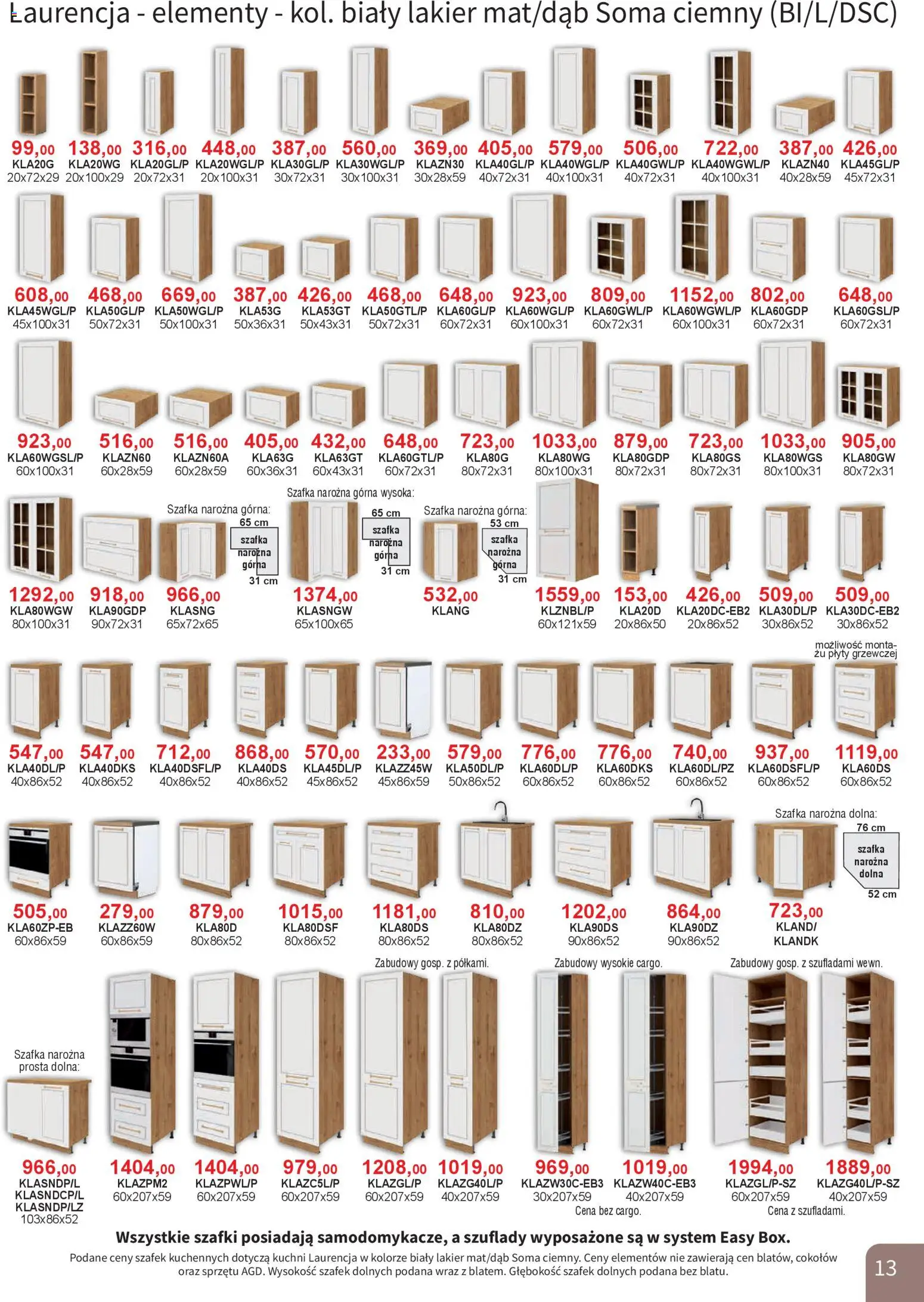 Bodzio Katalog od 01.01.2026 | Strona: 13 | Produkty: Plyty