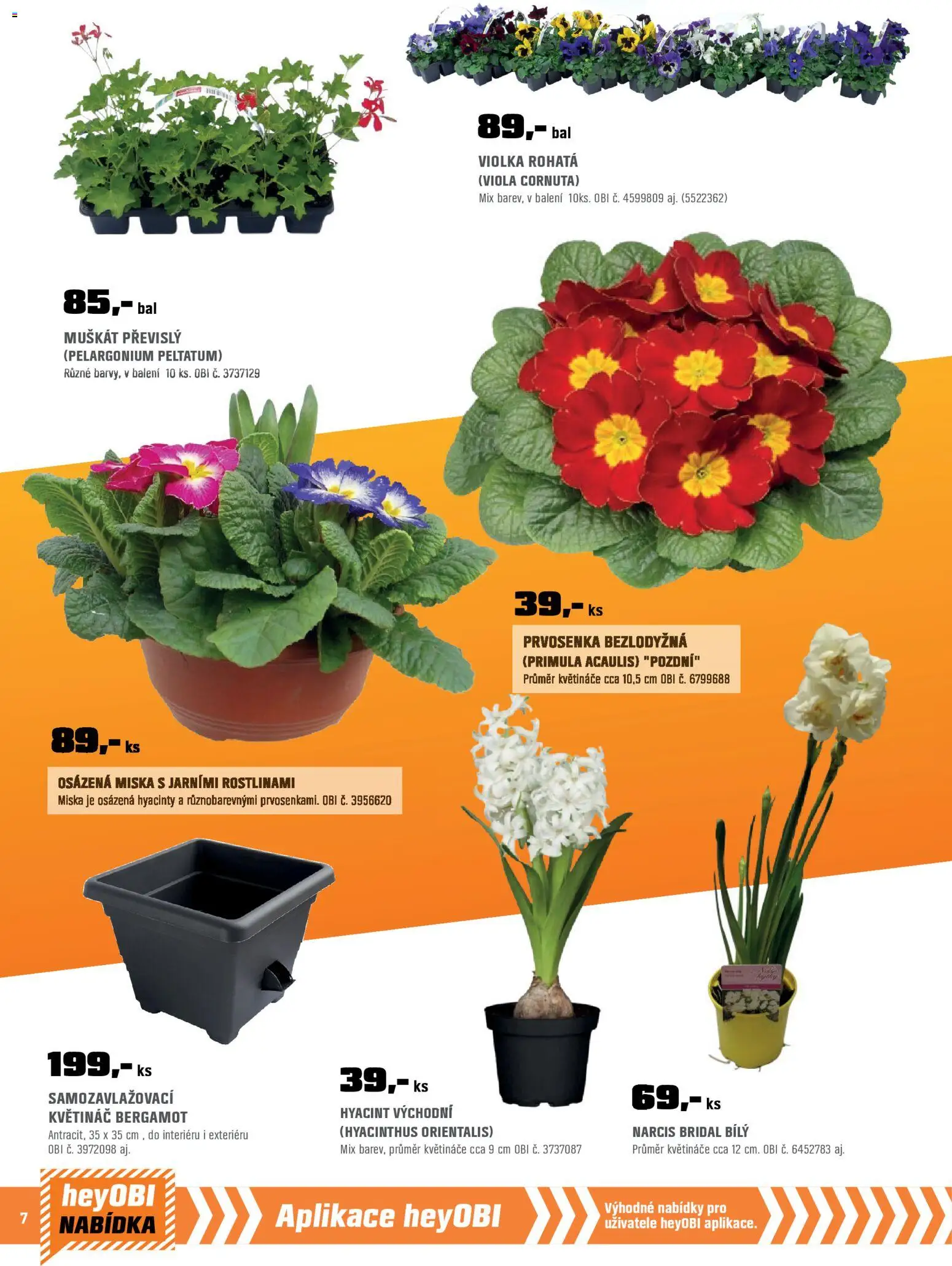 OBI leták od 01.03.2026 | Strana: 8 | Produkty: Květináče, Miska, Květináč