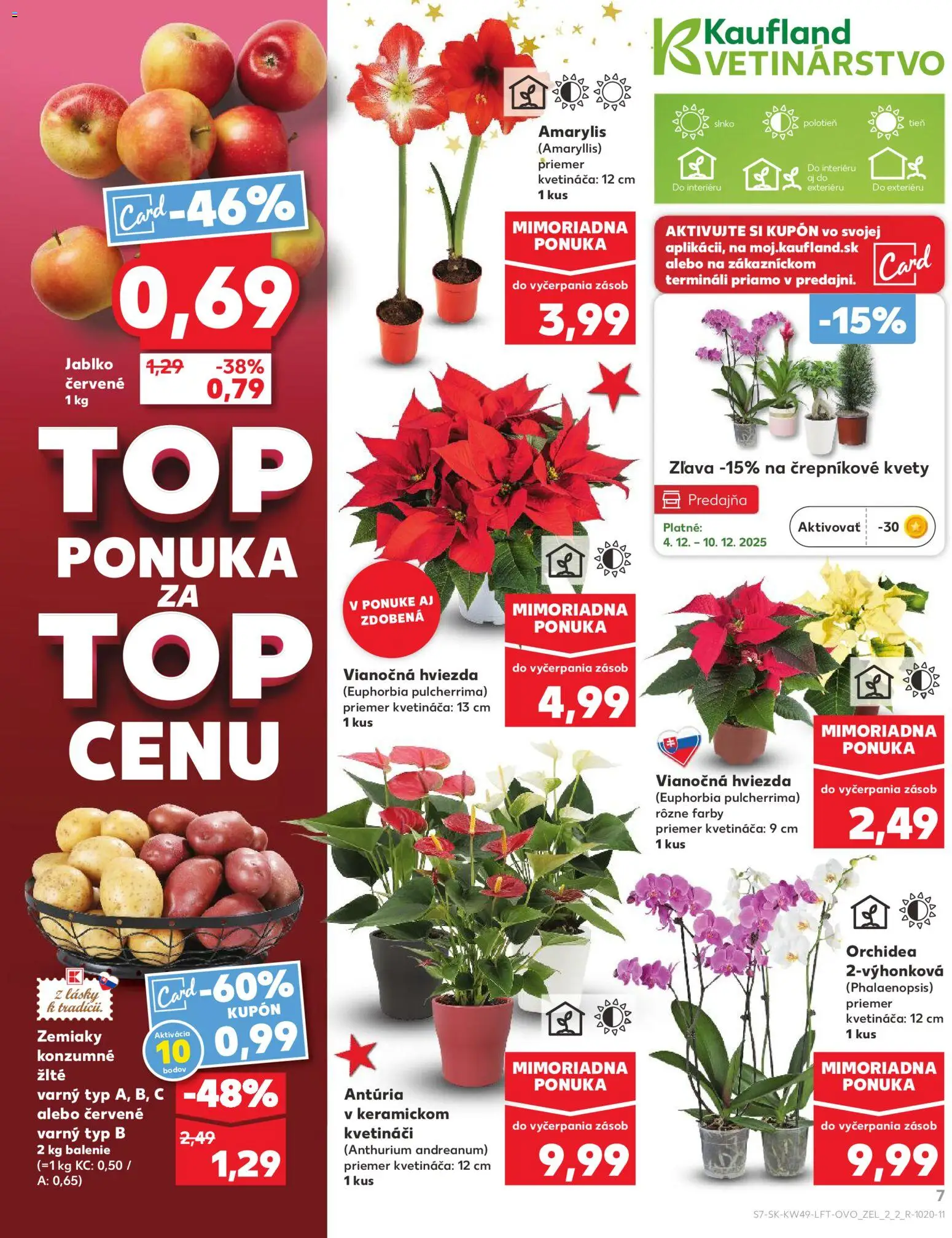 Kaufland SK akciós ujság - amely érvényes a következő dátumtól: 04.12.2025 | Oldal: 7 | Termékek: Orchidea