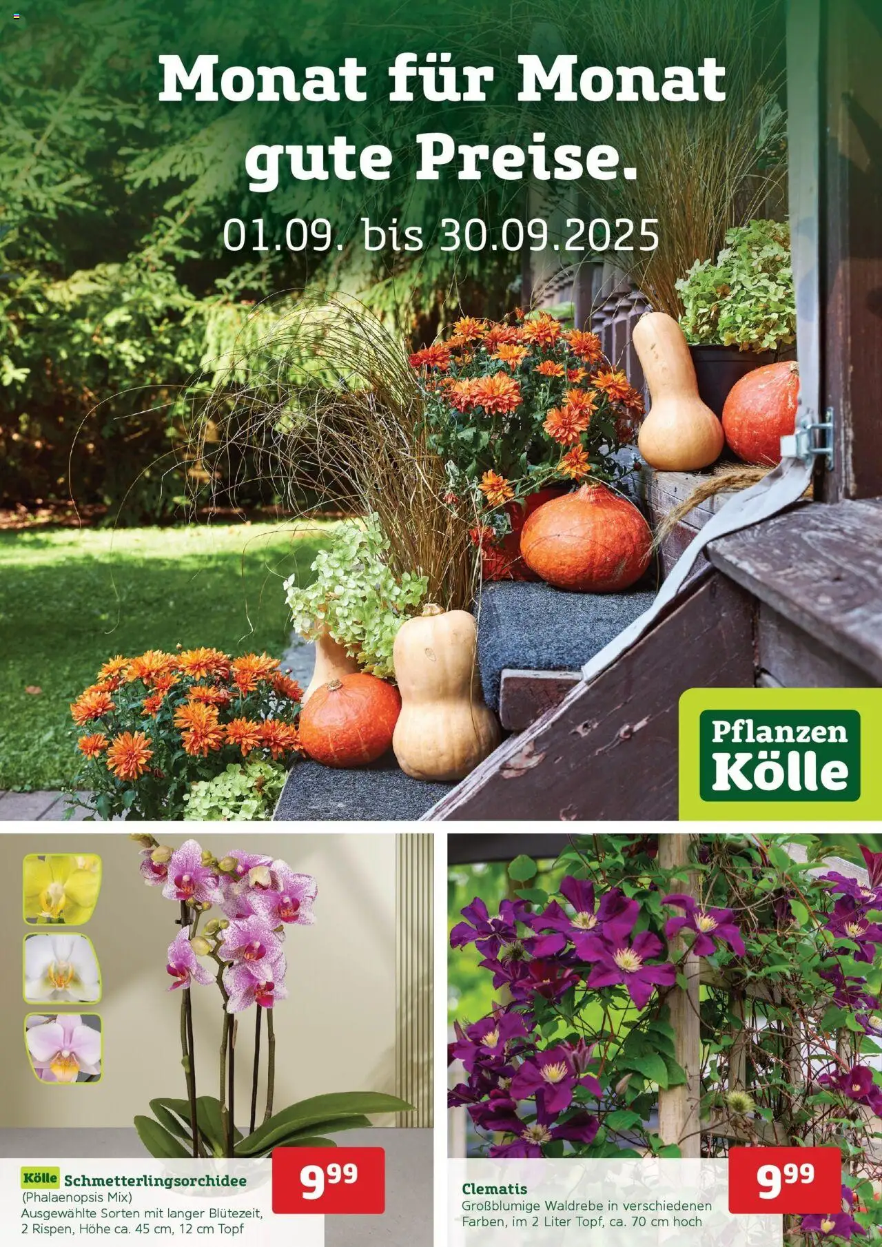 Pflanzen-Kölle Prospekt 	 - gültig ab dem 31.08.2025 | Seite: 1