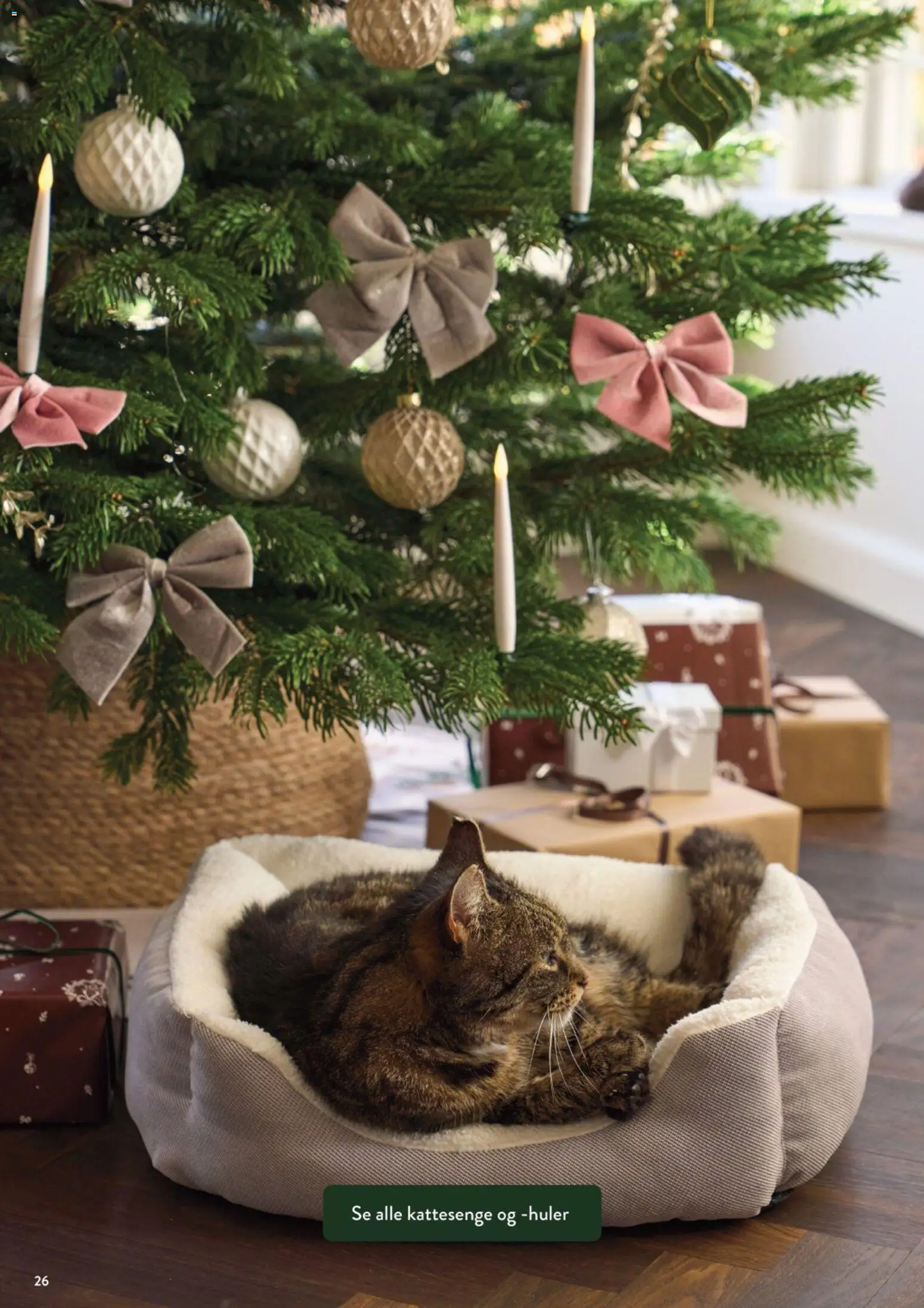 Plantorama tilbudsavis – gyldig fra 23.11.2025 | Side: 25