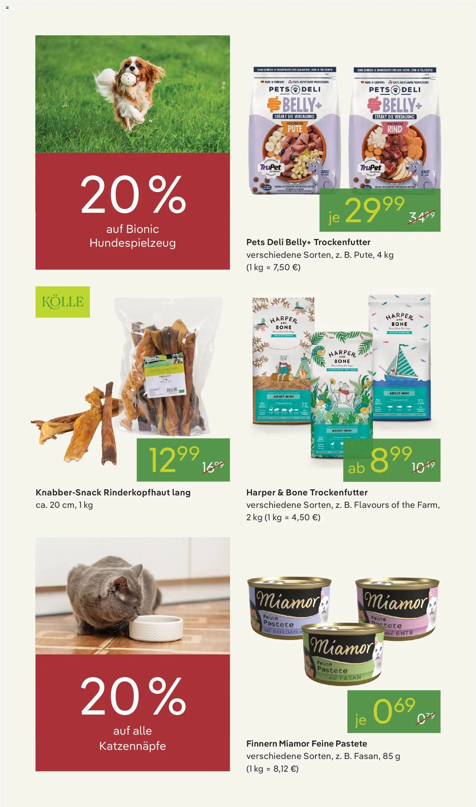 Pflanzen-Kölle Prospekt 	 – gültig ab 16.03.2026 | Seite: 12 | Produkte: Ente