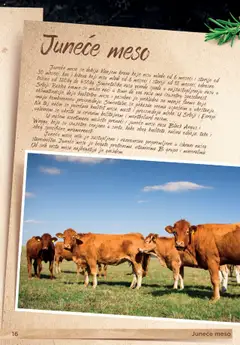 Metro katalog meso - pregled Metro kataloga - važi od 11.11.2024 | Strana: 16