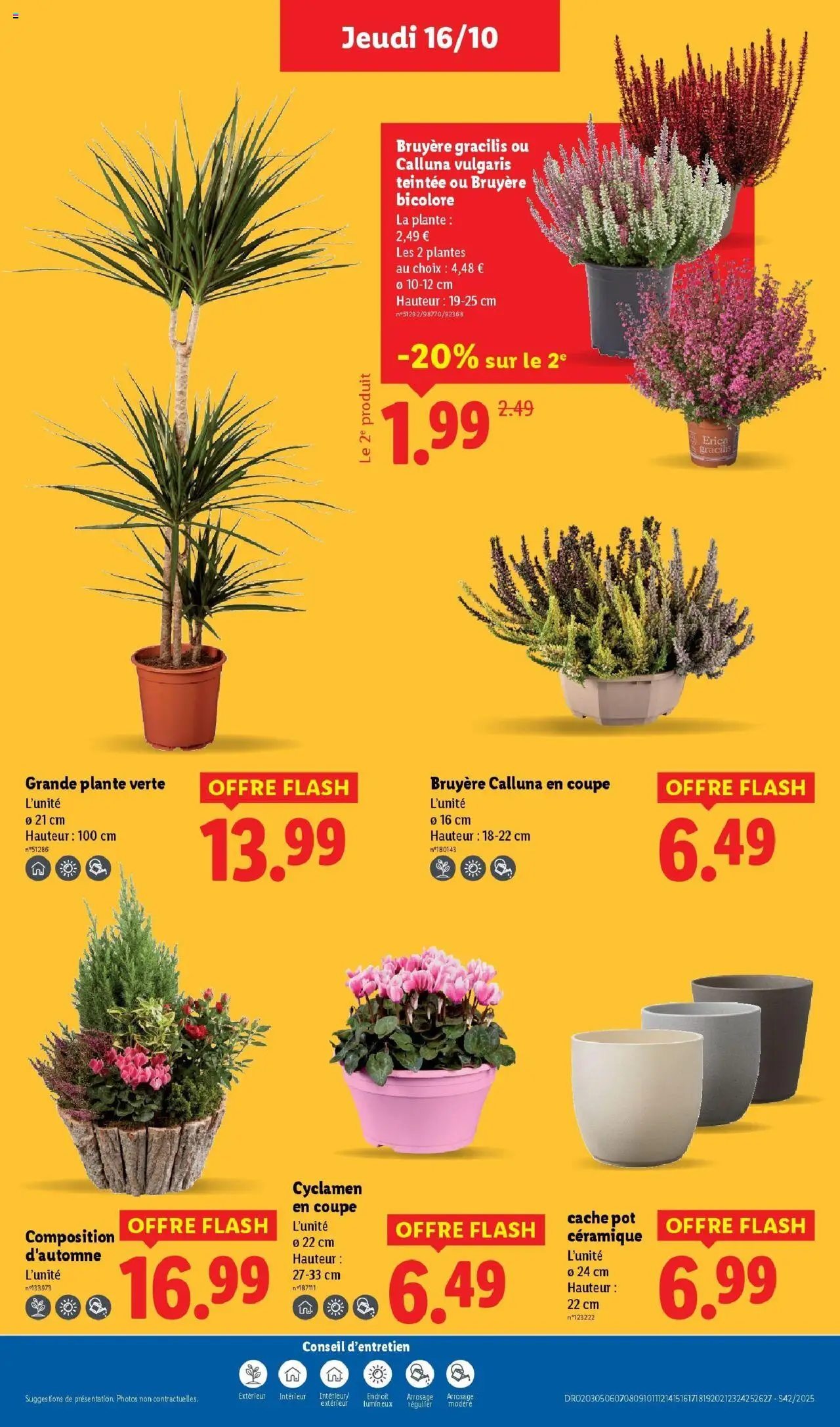 {H1} | Page: 37 | Produits: Plantes, Plante verte