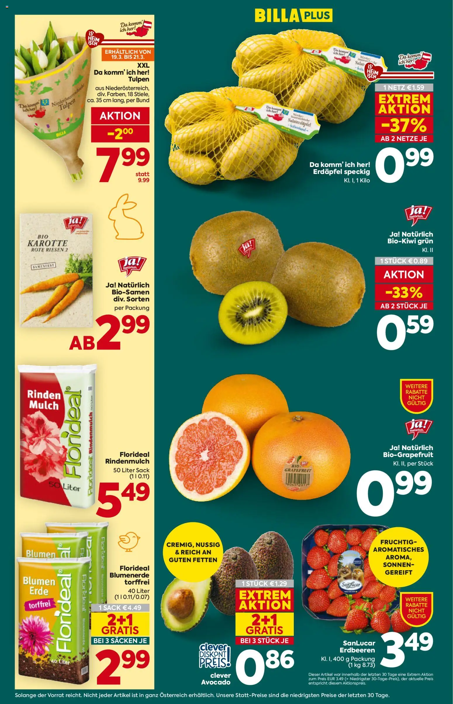 Billa Plus Flugblatt gültig ab 19.03.2026 | Seite: 10 | Produkte: Erdbeeren, Karotte, Avocado, Grapefruit
