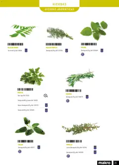 Vista previa Makro - Especial Frutas y Verduras Península válido desde el 05.01.2026 | Página: 29 | Productos: Bandeja