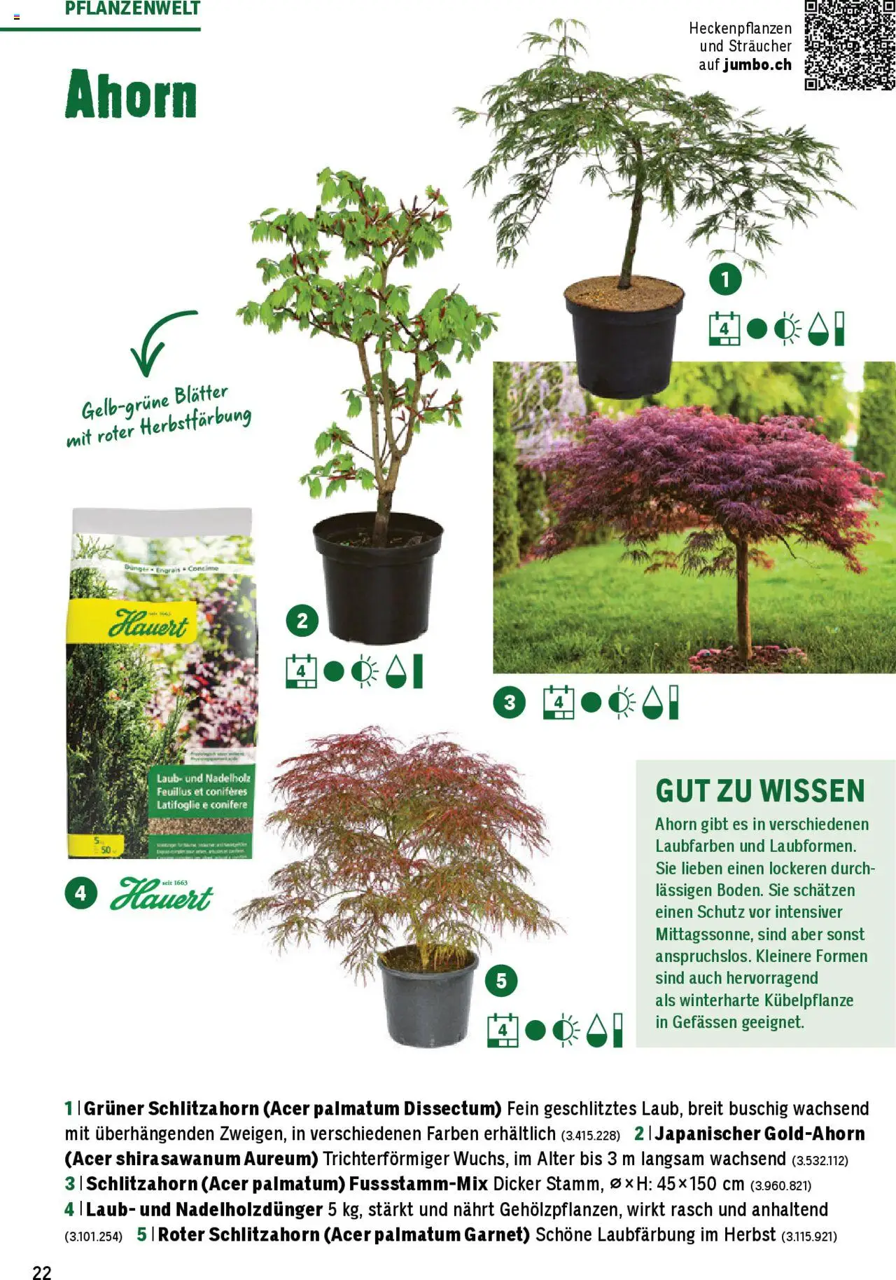 Jumbo Aktionen Dein Garten 2025 ab 21.02.2025 | Seite: 22