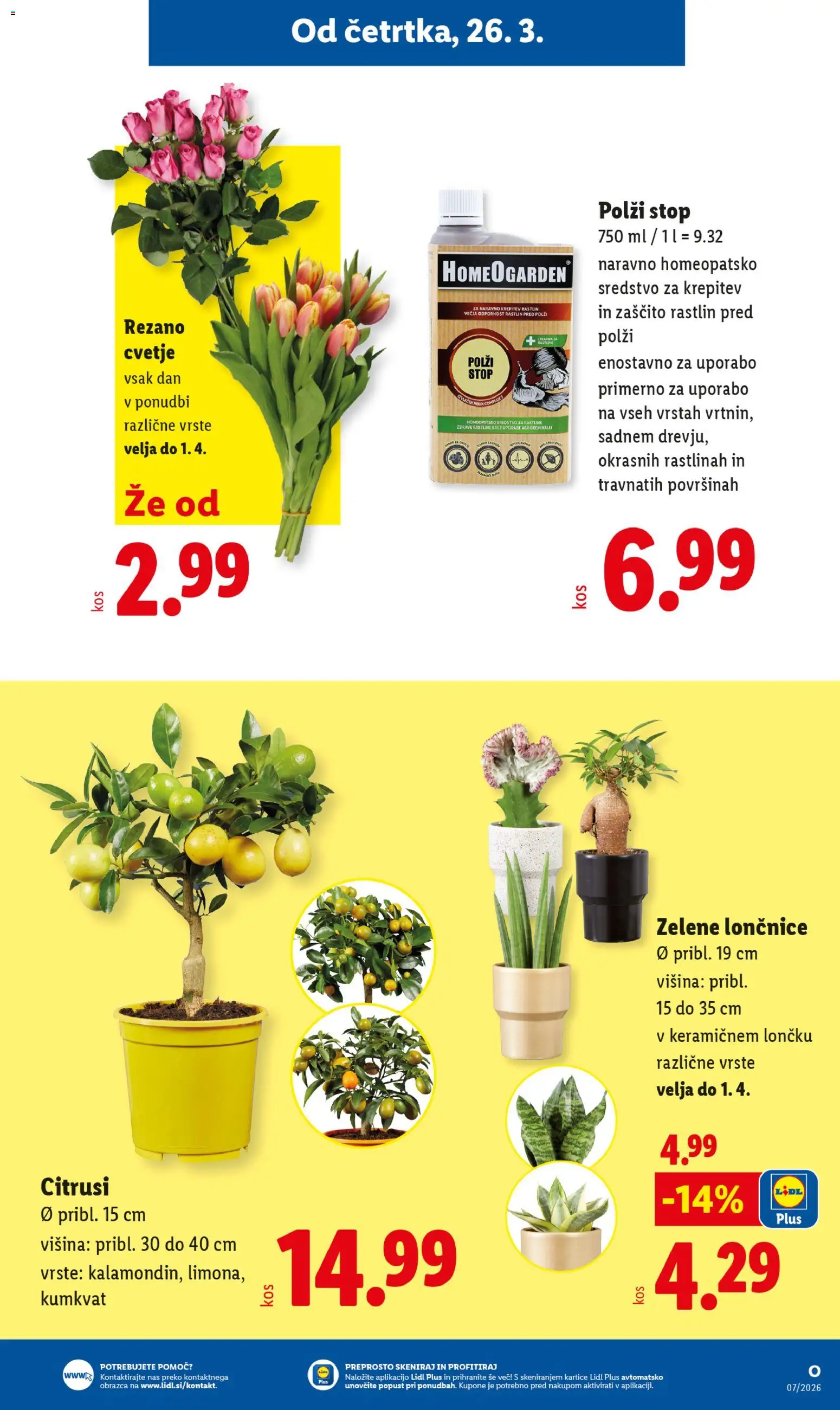 Novi Lidl katalog ponudbe – veljaven od 20.04.2026 | Stran: 27 | Izdelki: Lončnice, Cvetje