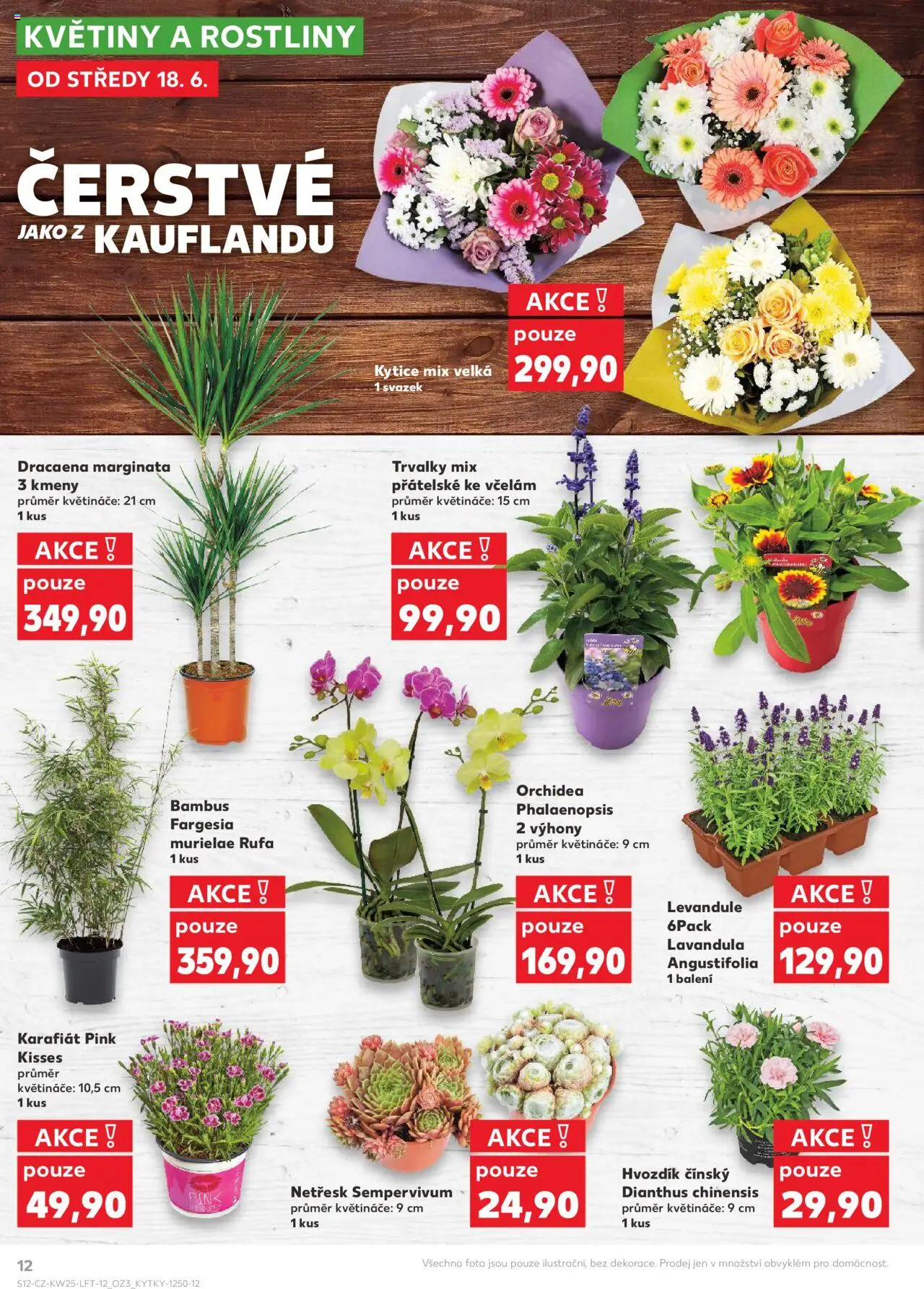 Kaufland leták od 18.06.2025 | Strana: 12 | Produkty: Květináče, Rostliny, Kytice, Květiny