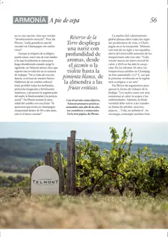 Vista previa El Corte Inglés ofertas válido desde el 11.12.2025 | Página: 56 | Productos: Sombra, Medias