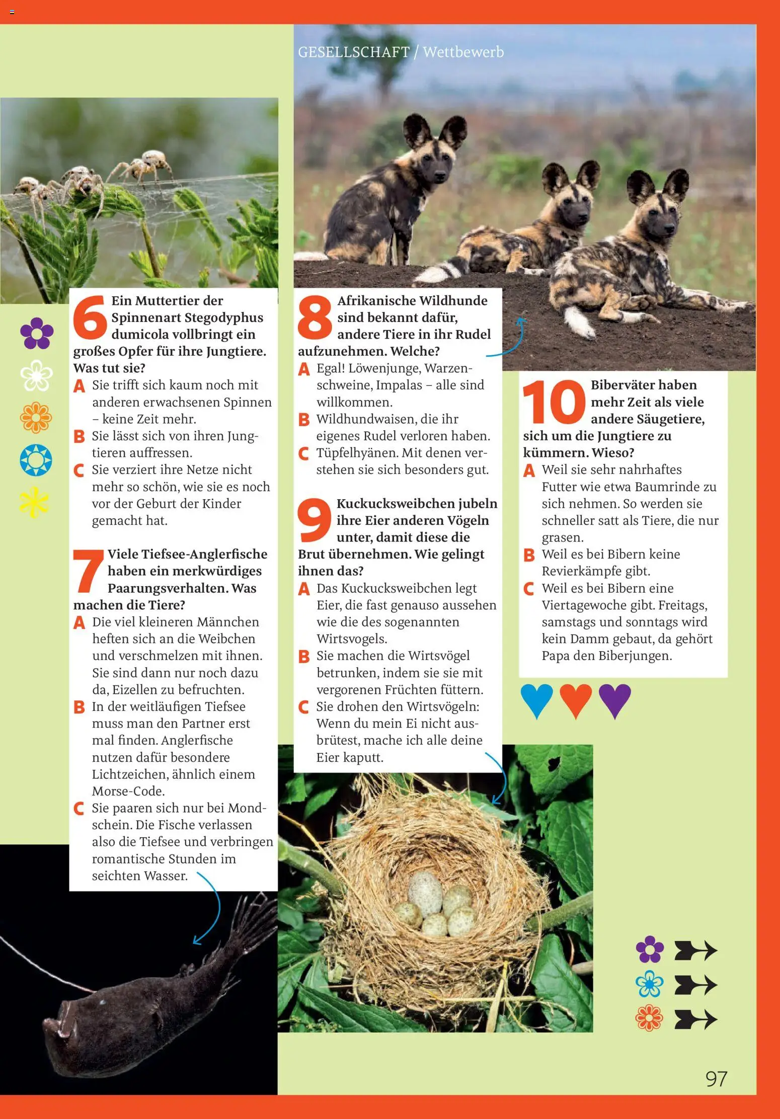 Rossmann Centaur | 01.04.2026 | Wie erhält man einen begrenzten Rabatt? | Deutschland