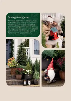 Forhåndsvisning av Plantasjen kundeavis gyldig fra 02.12.2025 | Side: 9 | Produkter: Lykt