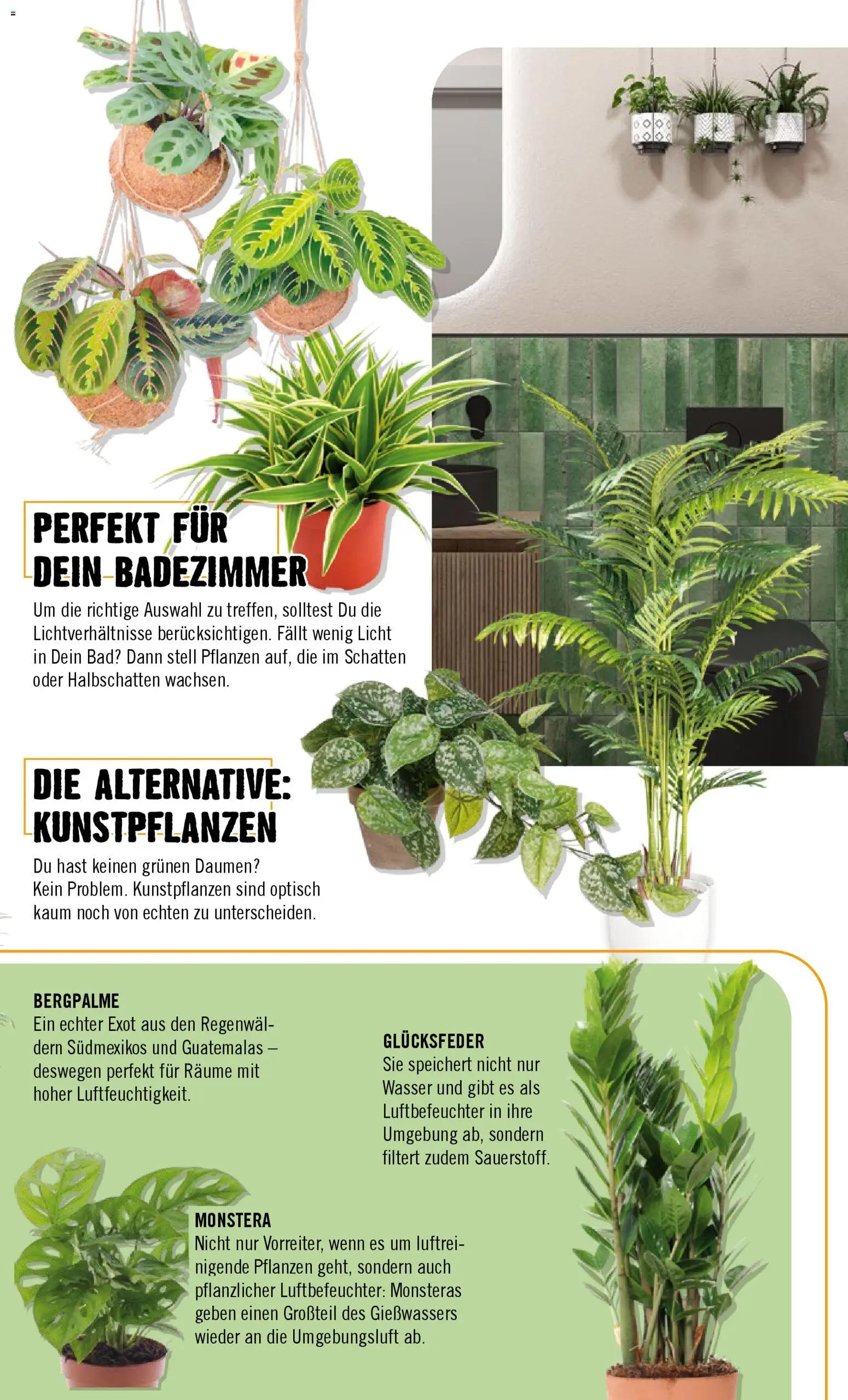 Hornbach Prospekt 	 – gültig ab 02.02.2026 | Seite: 67 | Produkte: Bad, Wasser