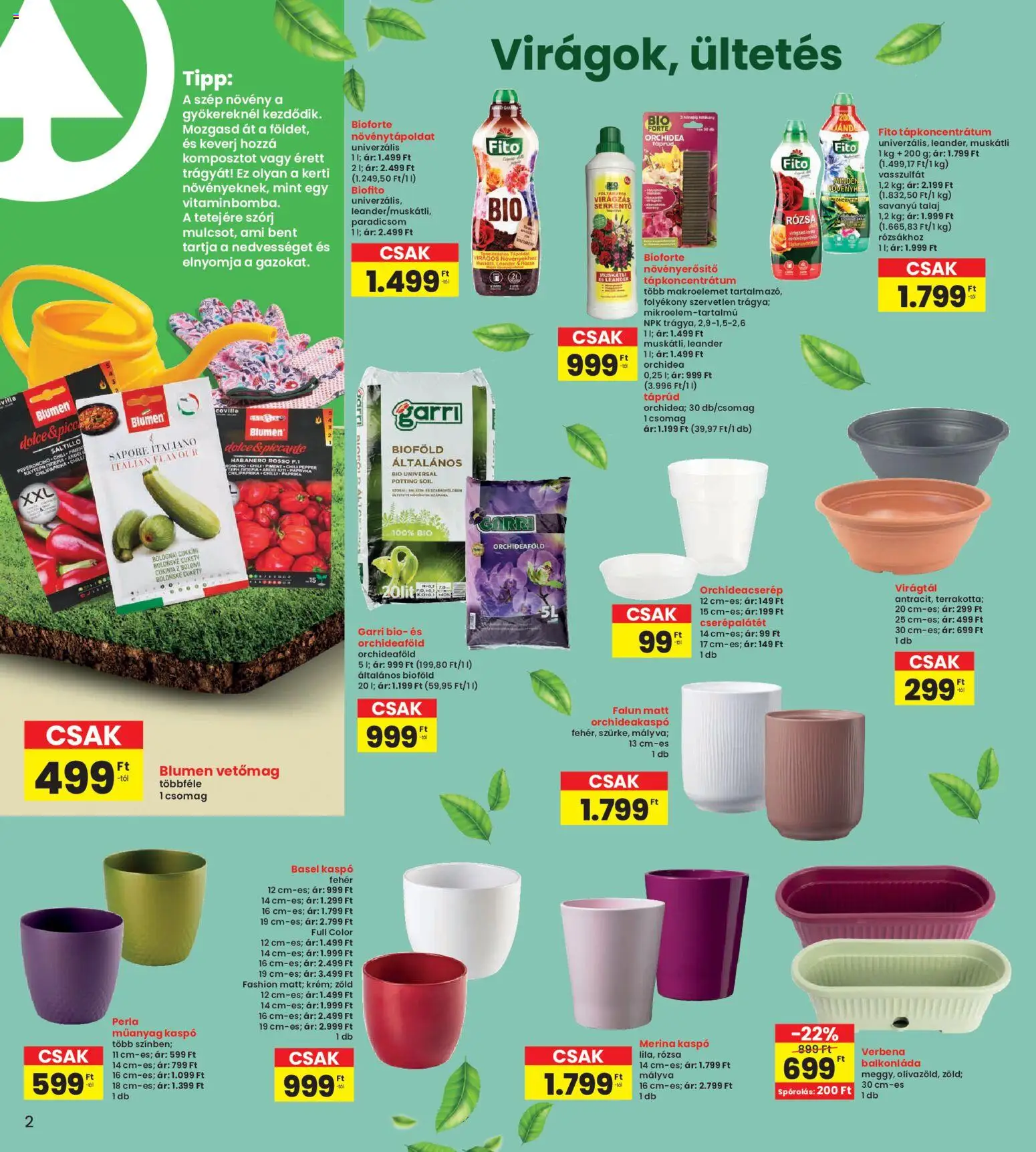 Interspar akciós ujság - amely érvényes a következő dátumtól: 19.03.2026 | Oldal: 2 | Termékek: Orchidea, Cukkini, Balkonláda, Paradicsom