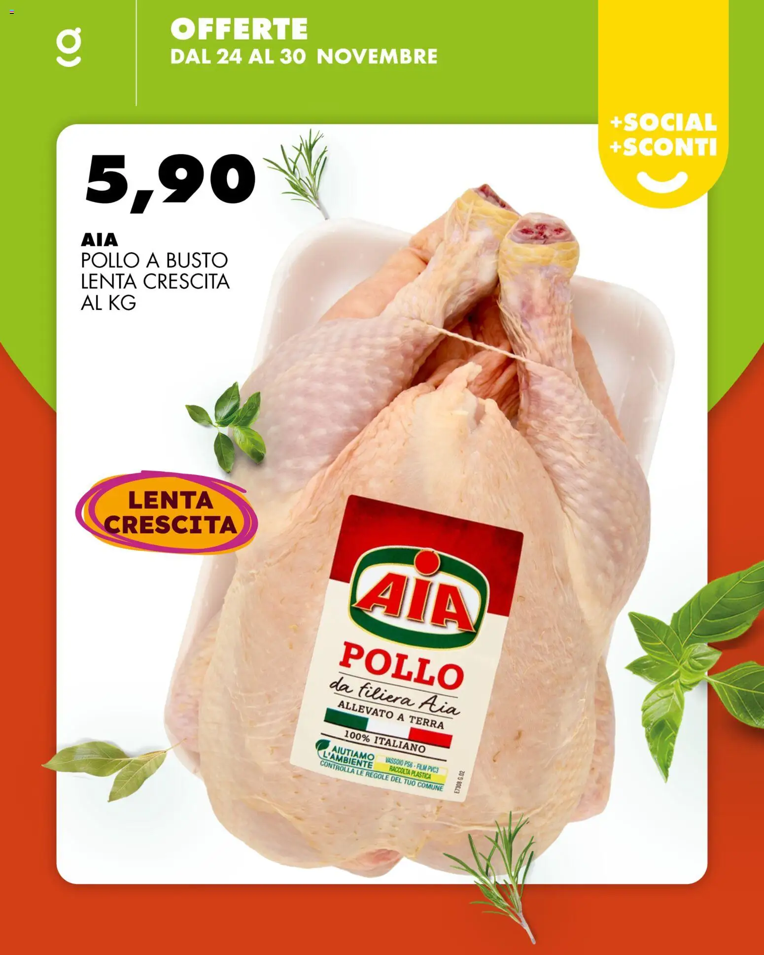 Volantino GECOP del 24.11.2025 | Pagina: 8 | Prodotti: Pollo, Vassoio, Terra
