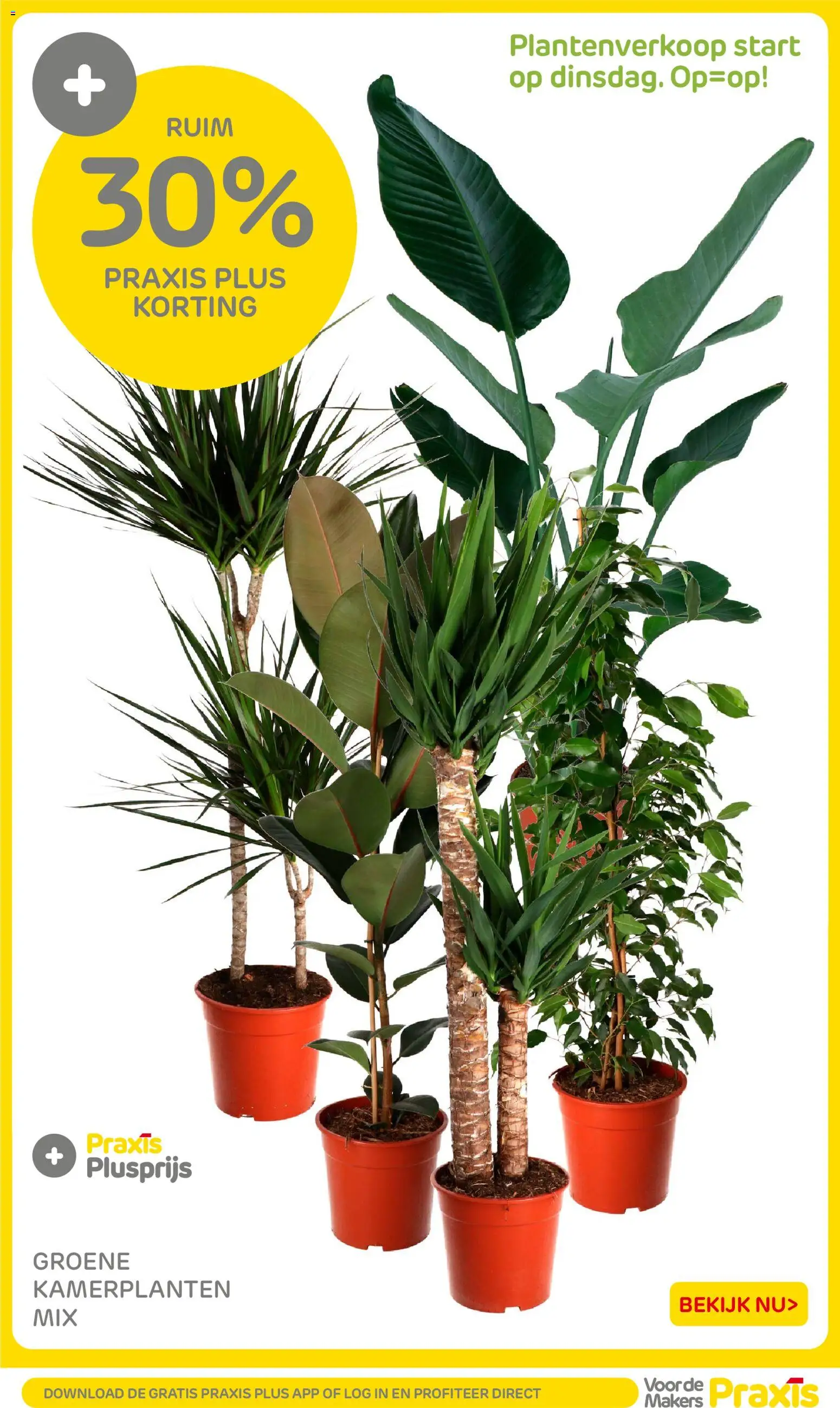 {H1} | Pagina: 20 | Producten: Kamerplanten