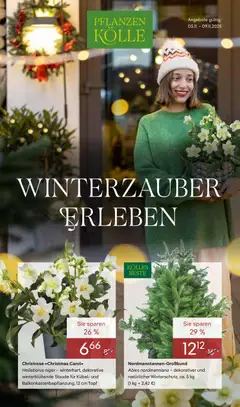 Pflanzen-Kölle Prospekt 	 ab 03.11.2025 gültig