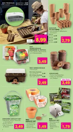 KODi Prospekt 	 ab 09.02.2026 gültig | Seite: 4 | Produkte: Blumenerde, Paprika, Petersilie, Salat