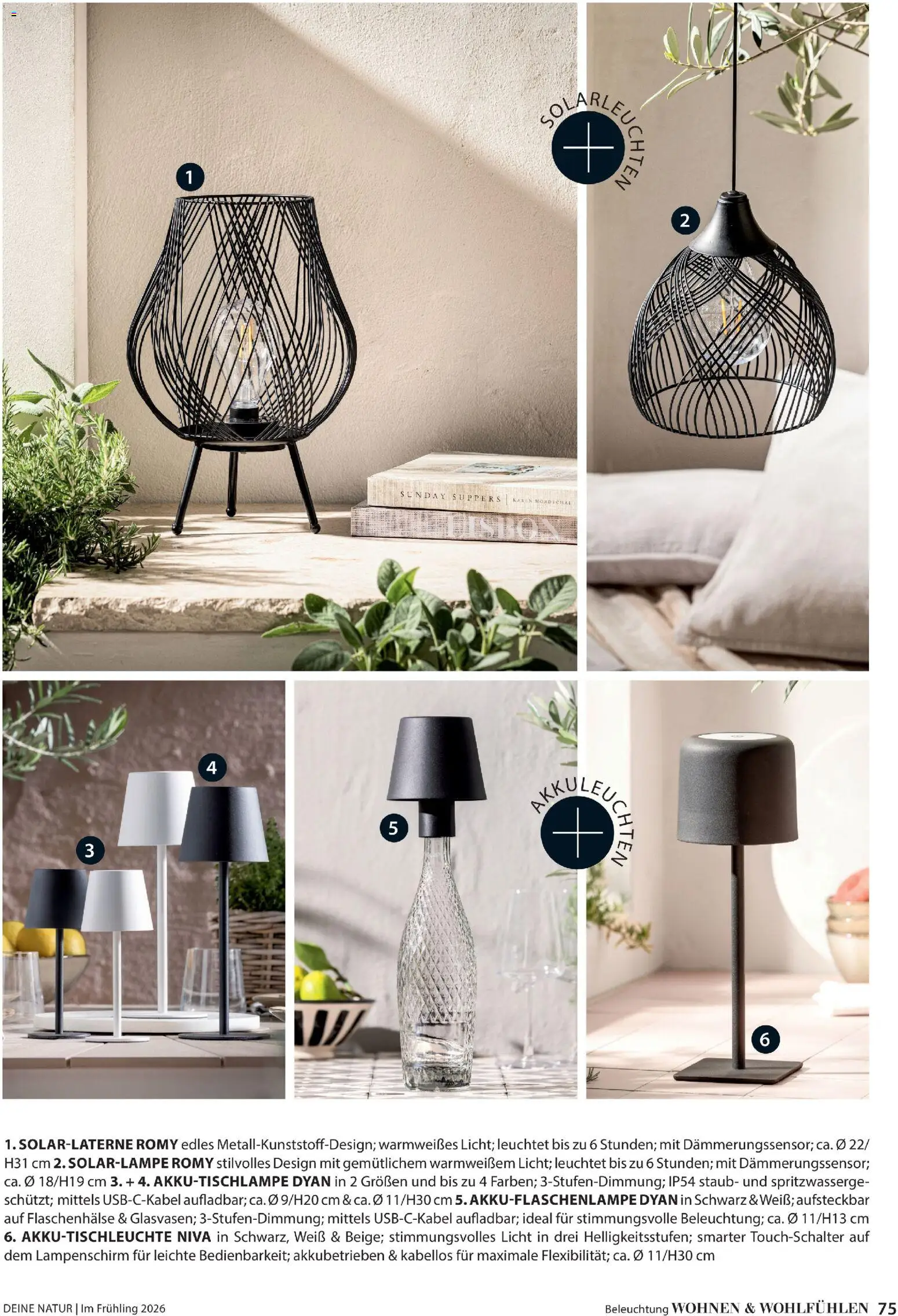 Dehner Flugblatt gültig ab 05.03.2026 | Seite: 75