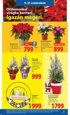 Lidl Akciós újság - amely érvényes a következő dátumtól: 27.11.2025 | Oldal: 13