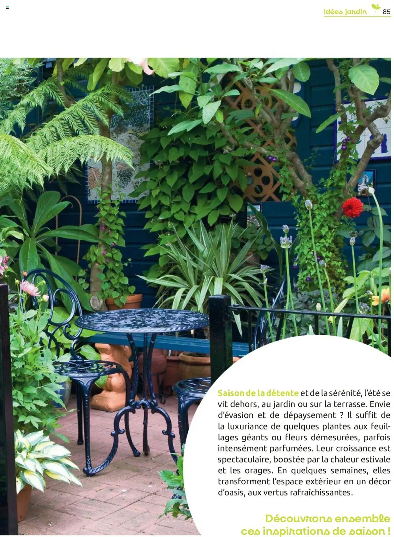  | Page: 85 | Produits: Plantes