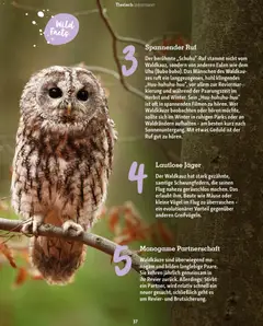 Fressnapf Magazin ab 01.11.2025 gültig | Seite: 37 | Produkte: Bilden