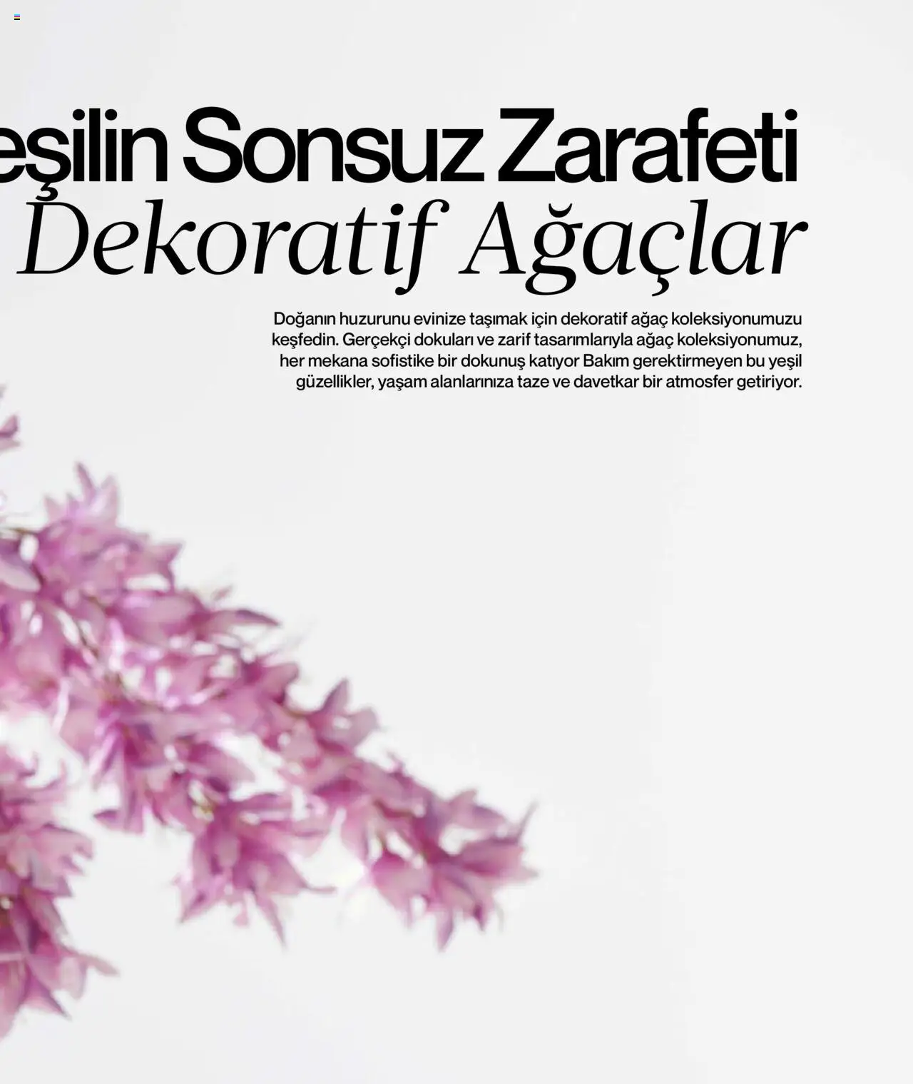 Mudo Katalog - BAHÇE 2025 - 04.06.2025 tarihinden itibaren geçerlidir | Sayfa: 151