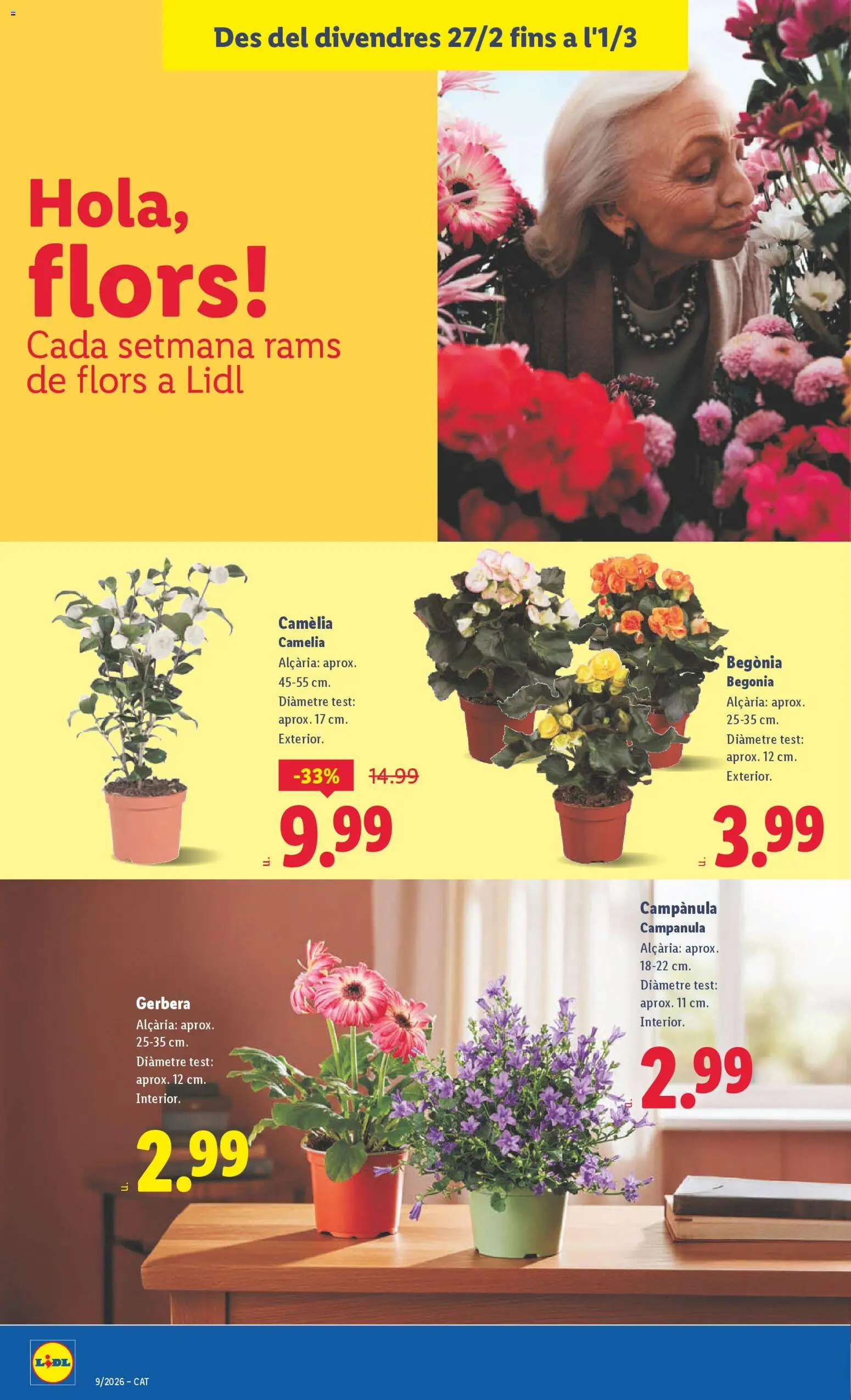 Lidl folleto │ válido desde el 23.02.2026 | Página: 38