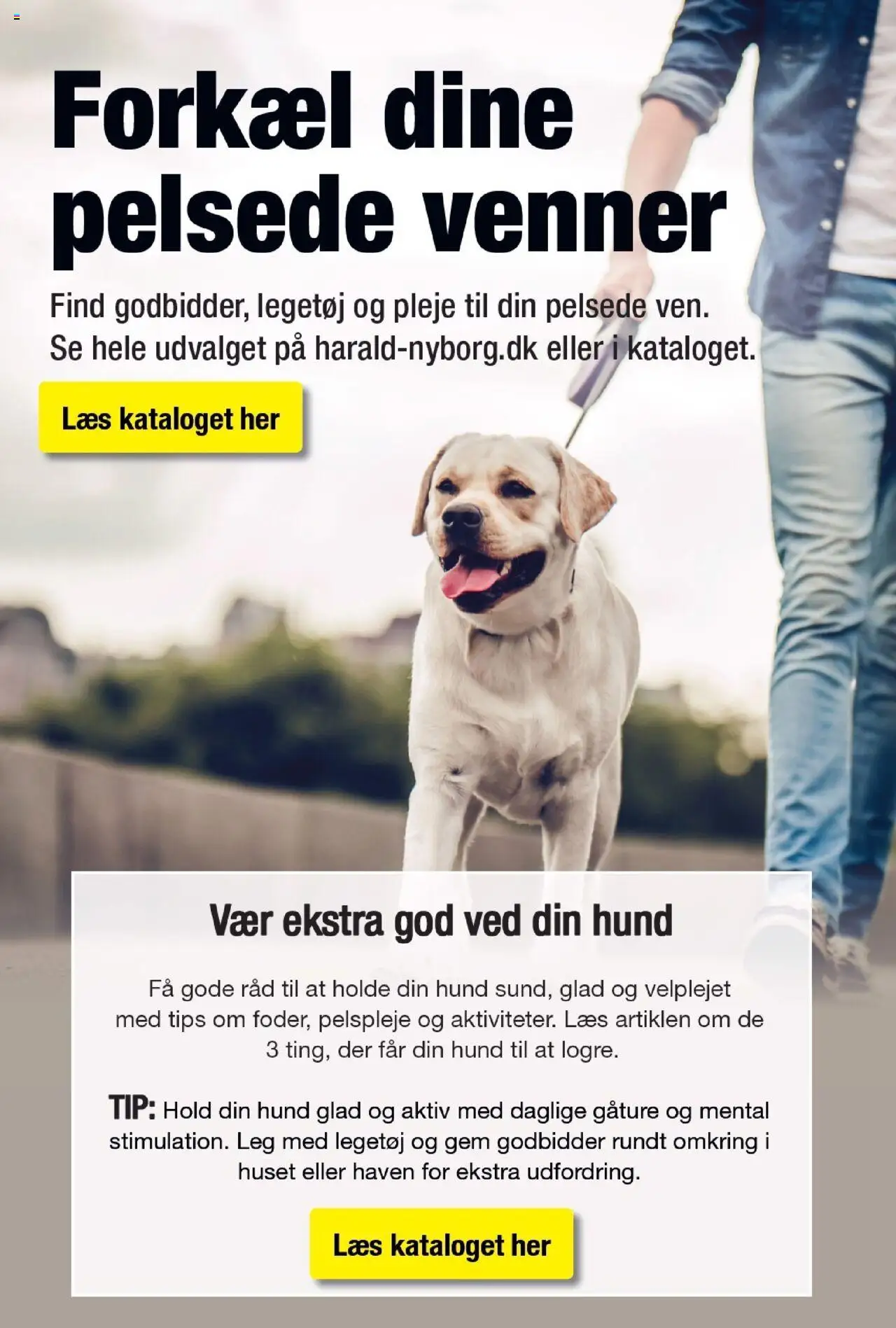 Harald Nyborg Tilbudsavis gyldig fra 03.07.2025 | Side: 37
