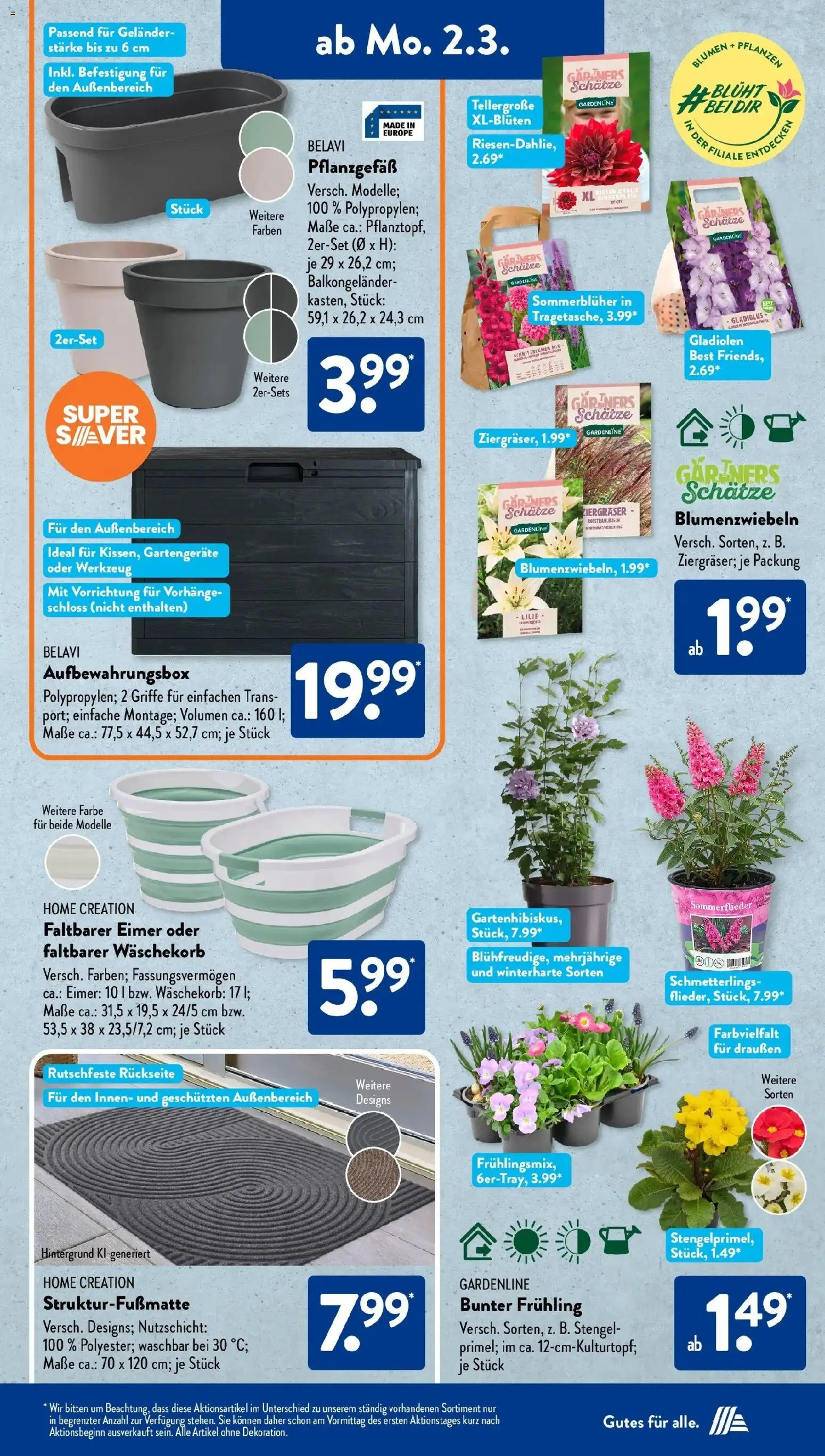 Aldi Süd Wochenangebote – gültig ab 02.03.2026 | Seite: 13 | Produkte: Belavi, Blumen, Home creation